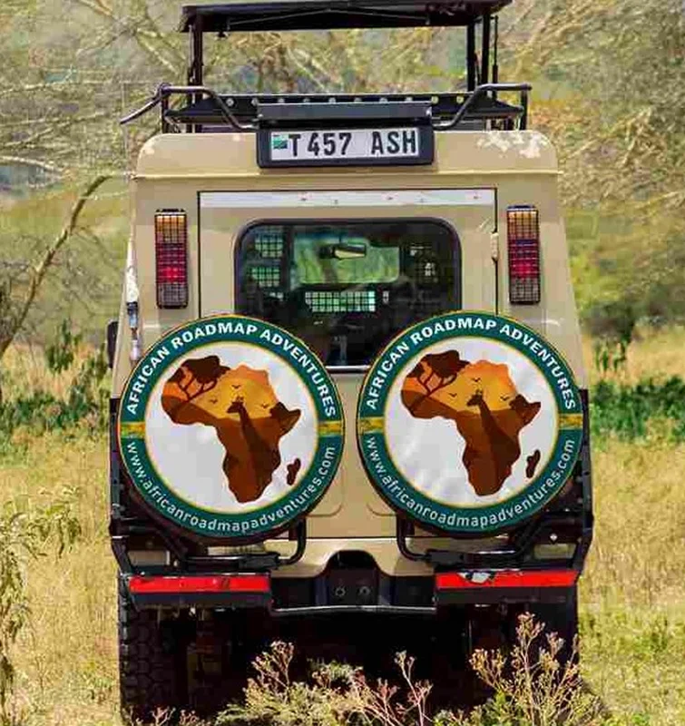 Tailor Made Safari in Tanzania
