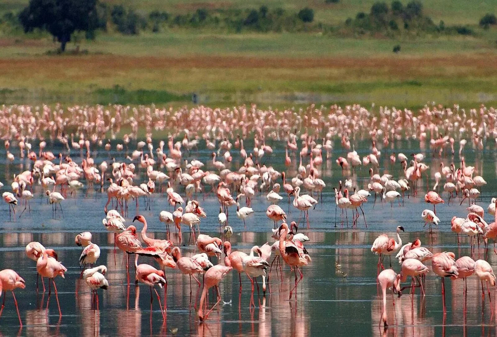 Lake Manyara National Park