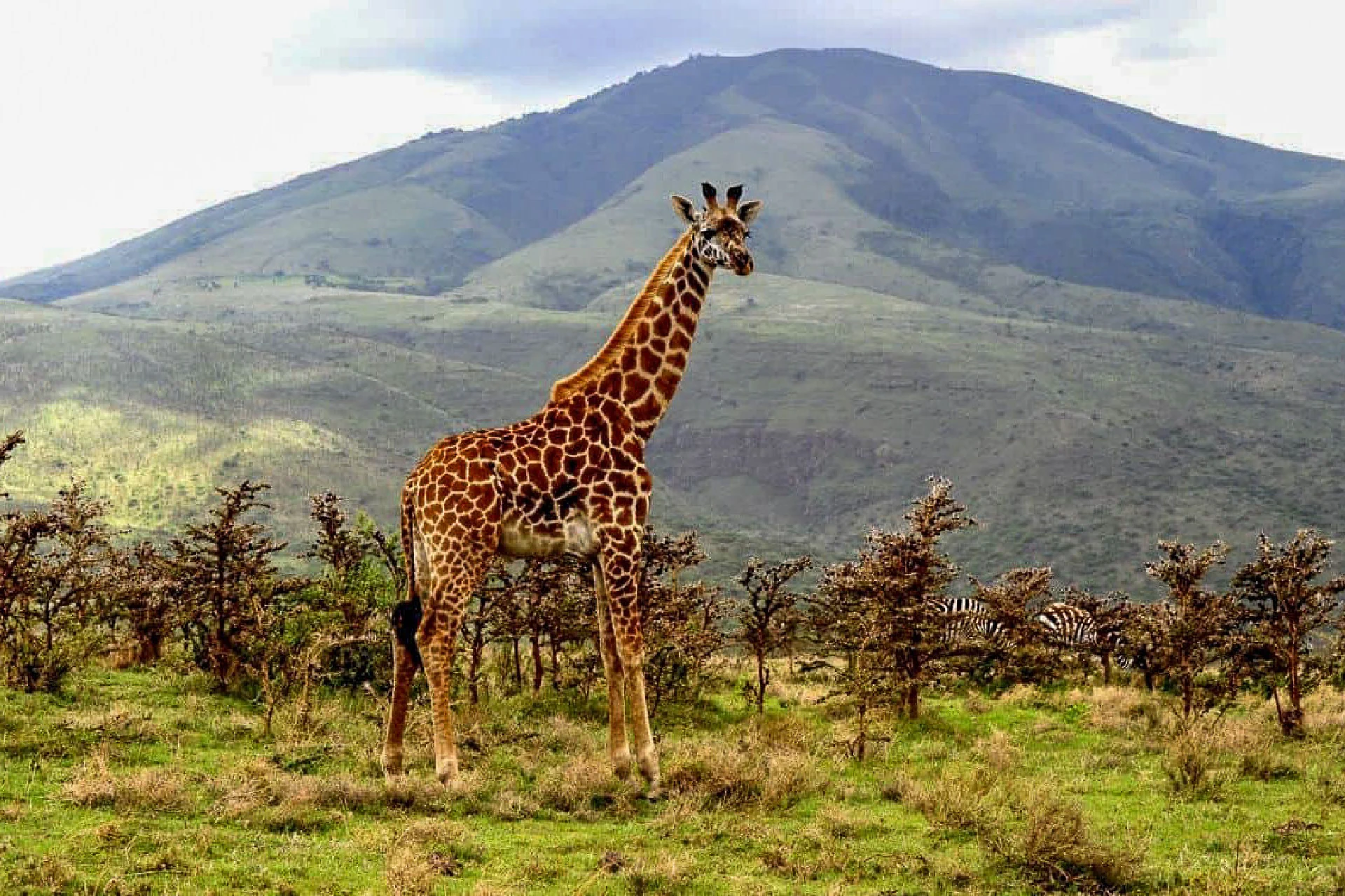 Lake Manyara