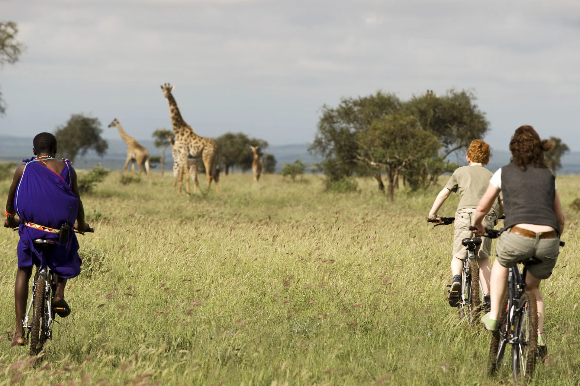 Arusha – Tarangire