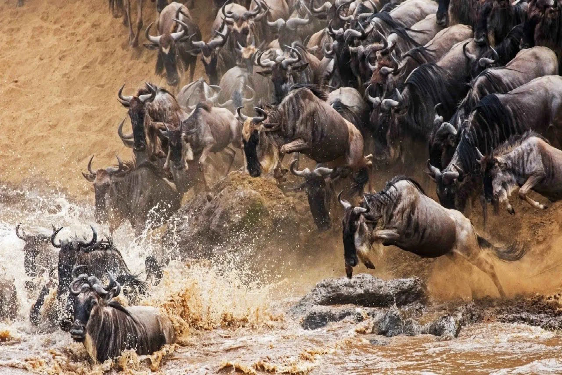 Northern Serengeti for Migration