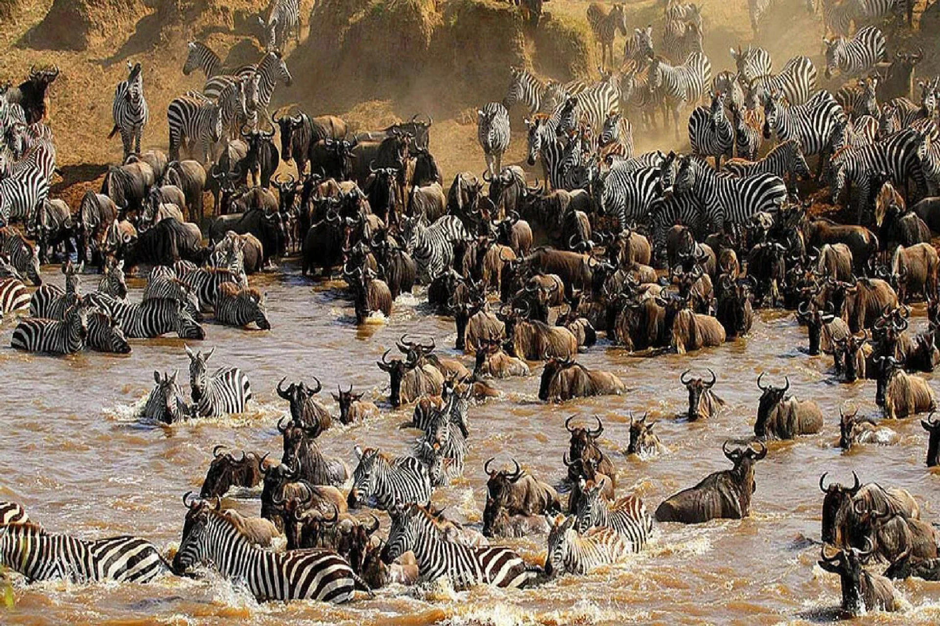 Serengeti National Park