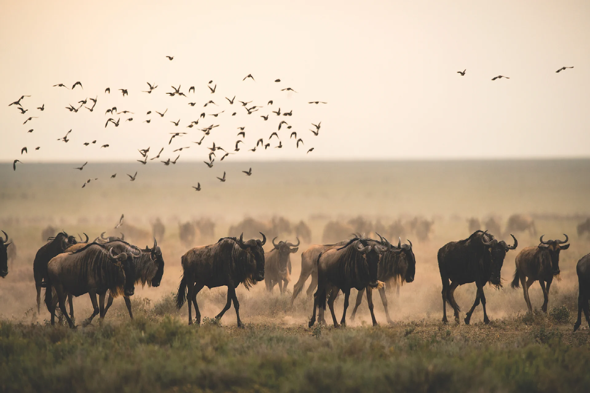 Serengeti National Park
