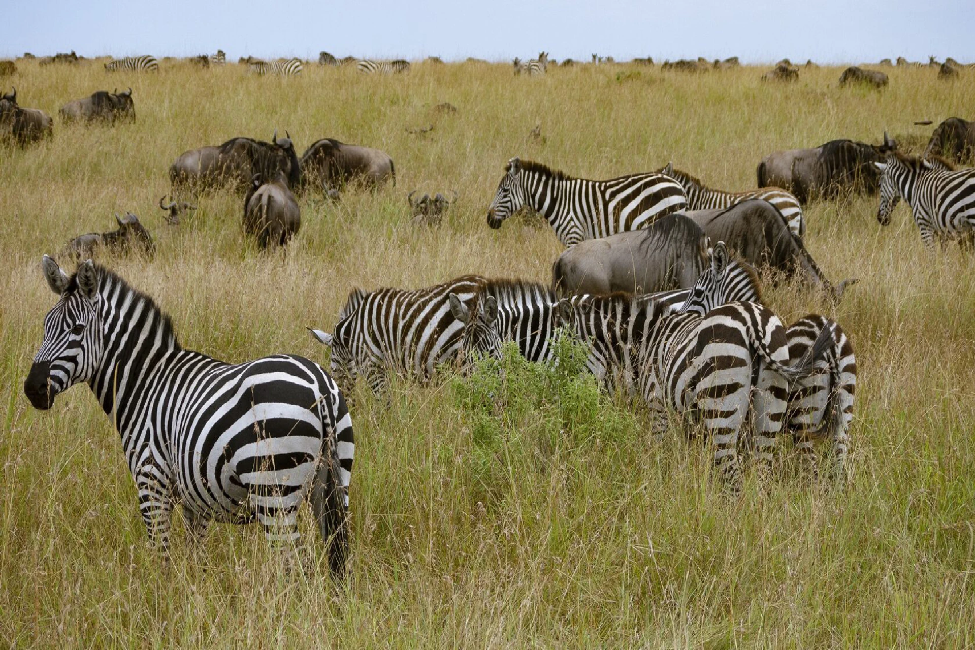 Serengeti National Park