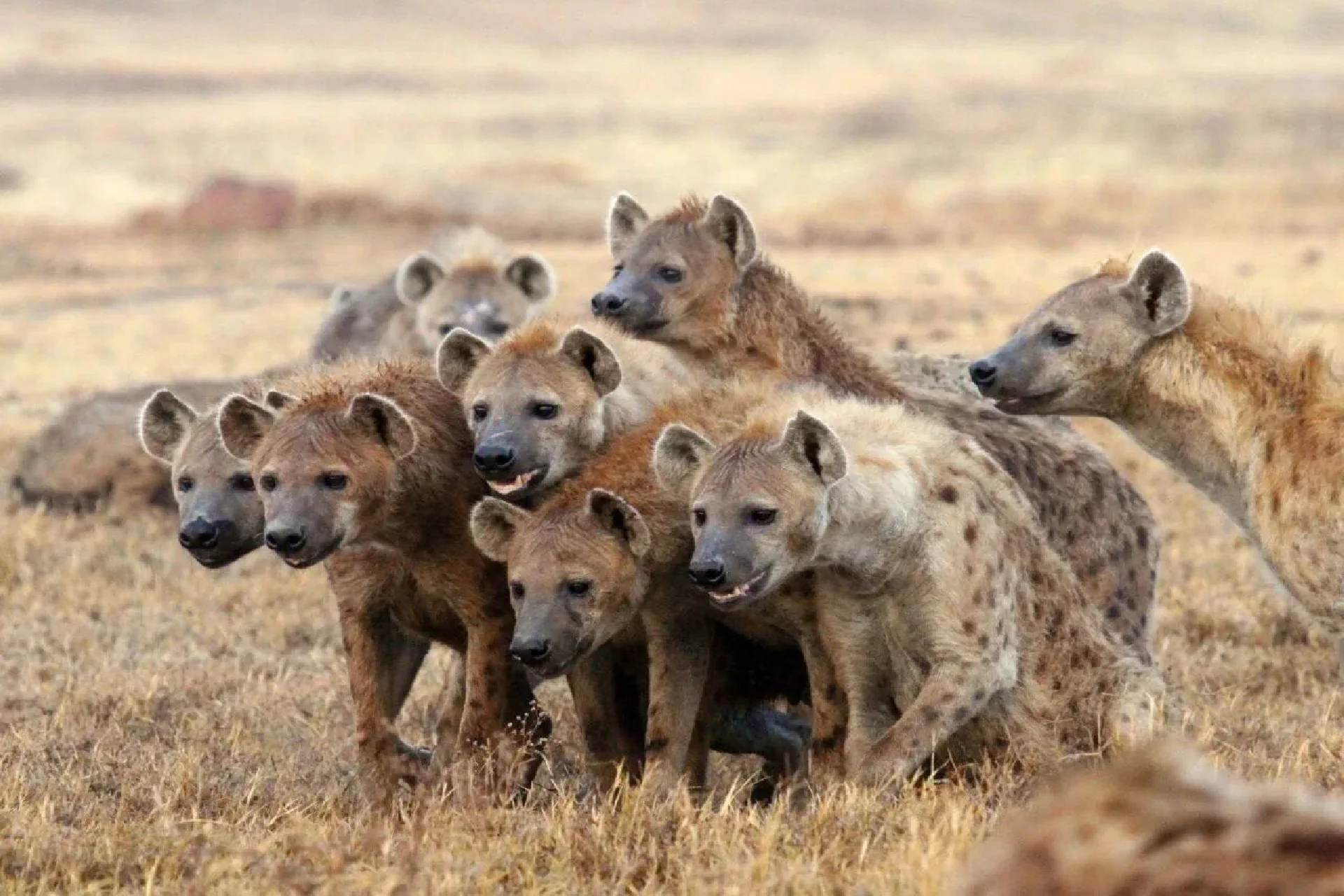 Serengeti National Park