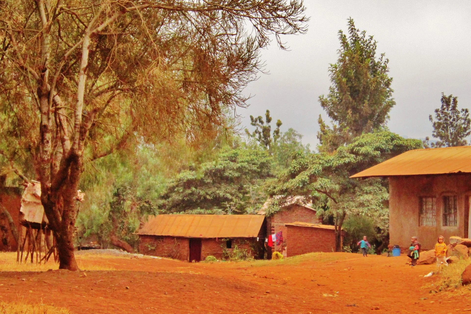 Kilimanjaro Airport – Karatu town