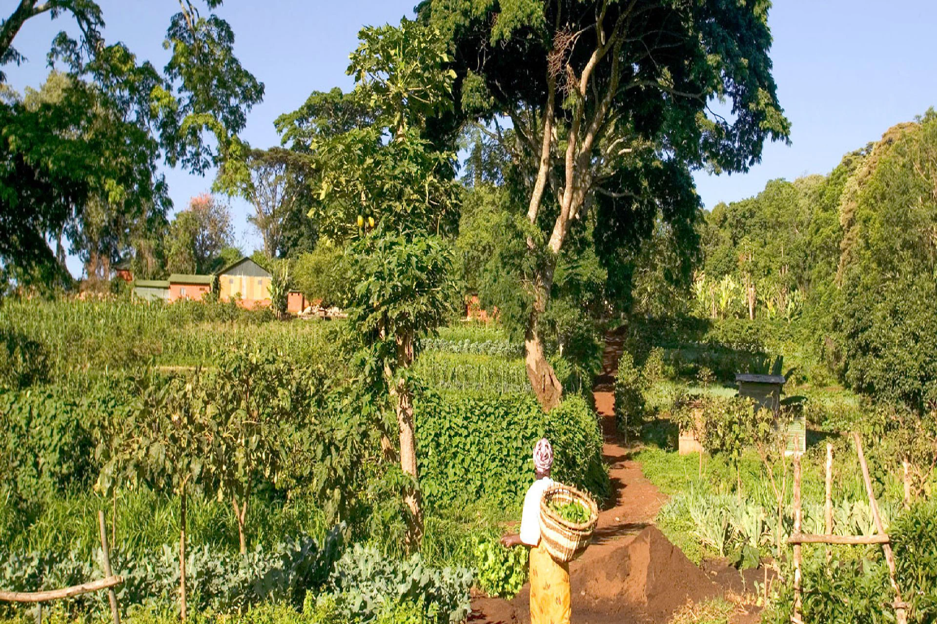 Kilimanjaro Airport – Karatu town