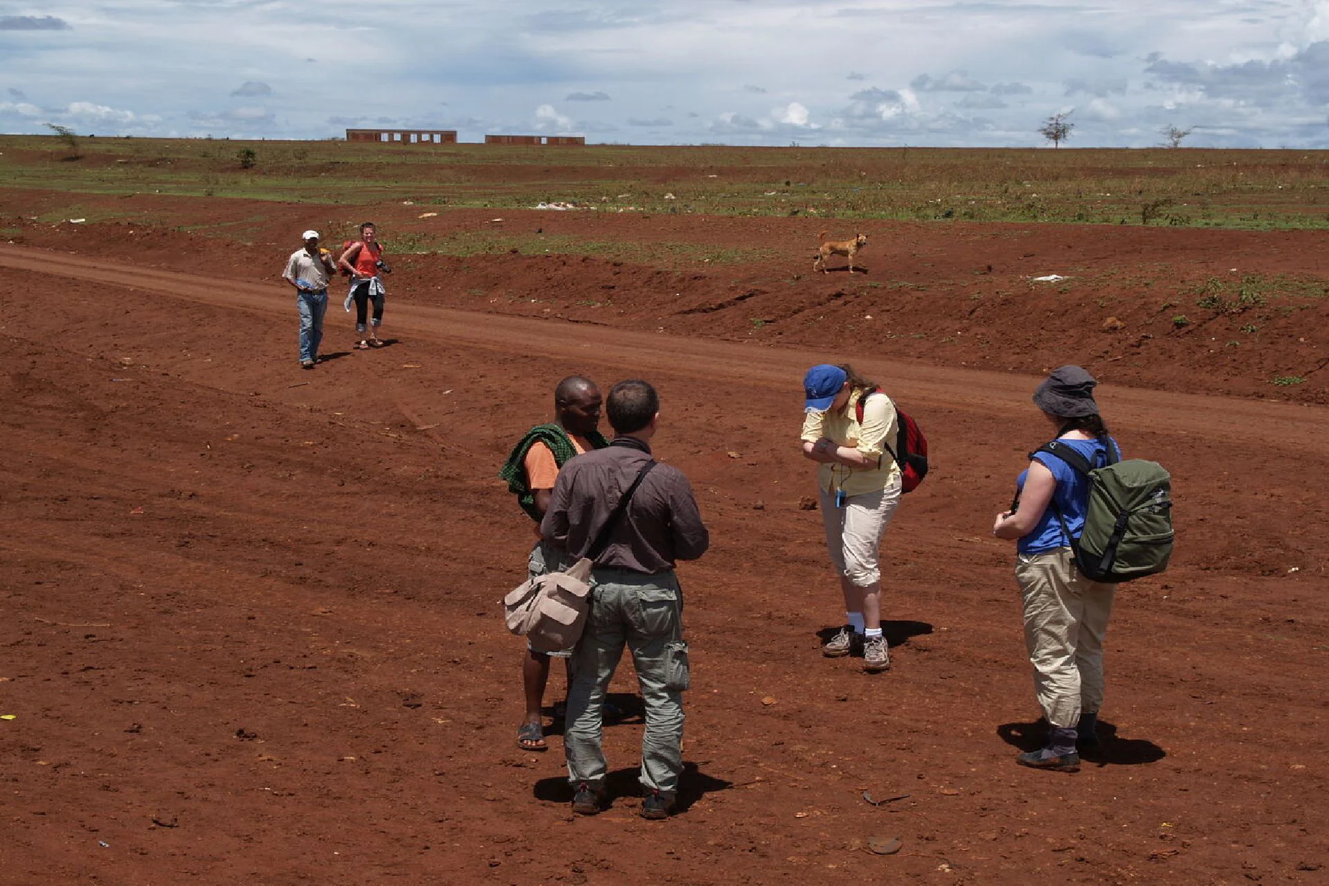 Central Serengeti - Ngorongoro Crater