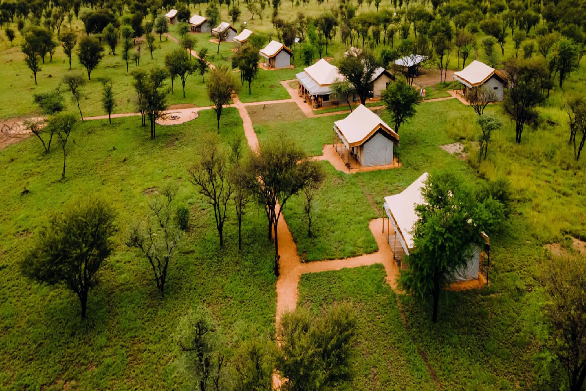 Kontik Serengeti Camp