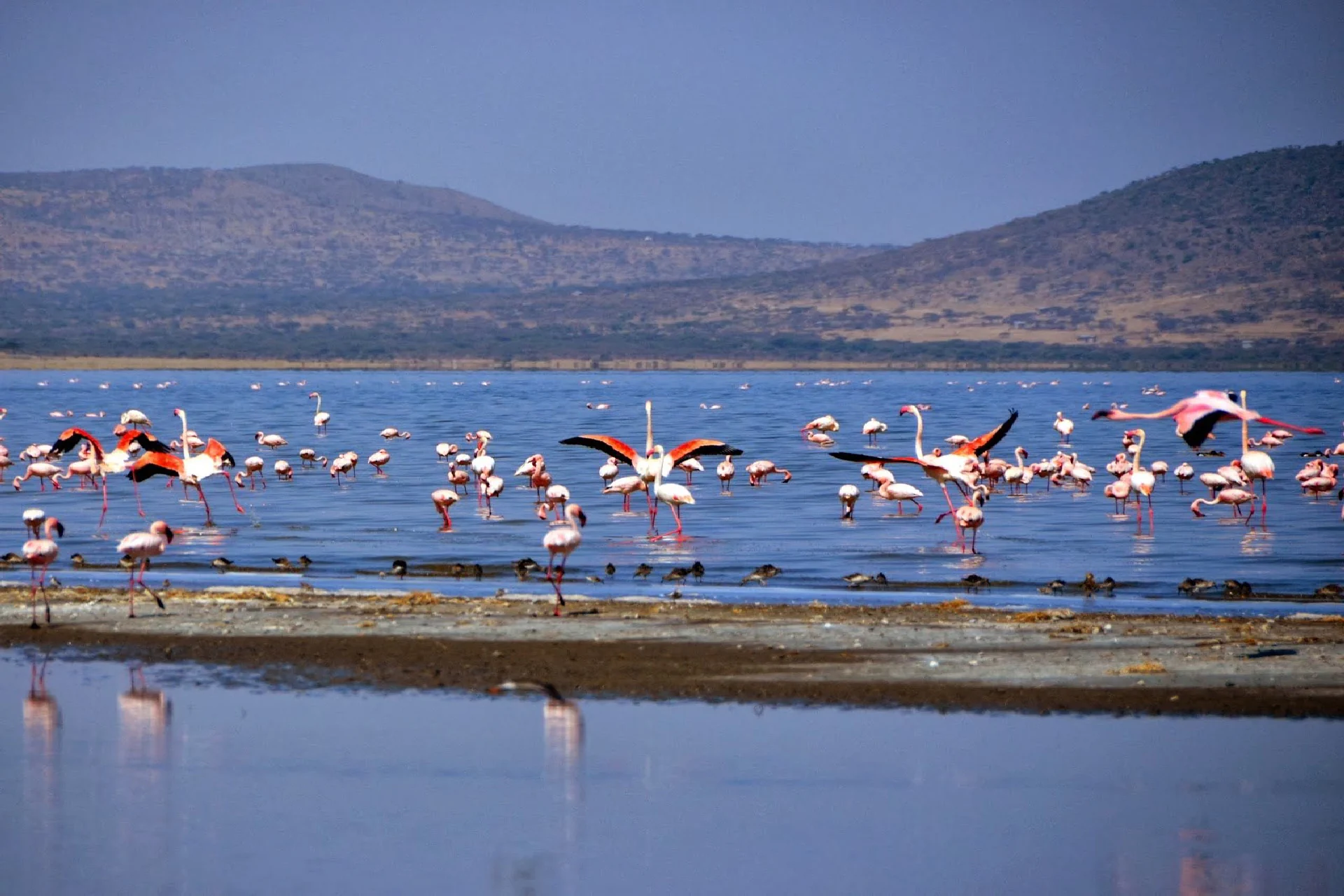 Lake Eyasi