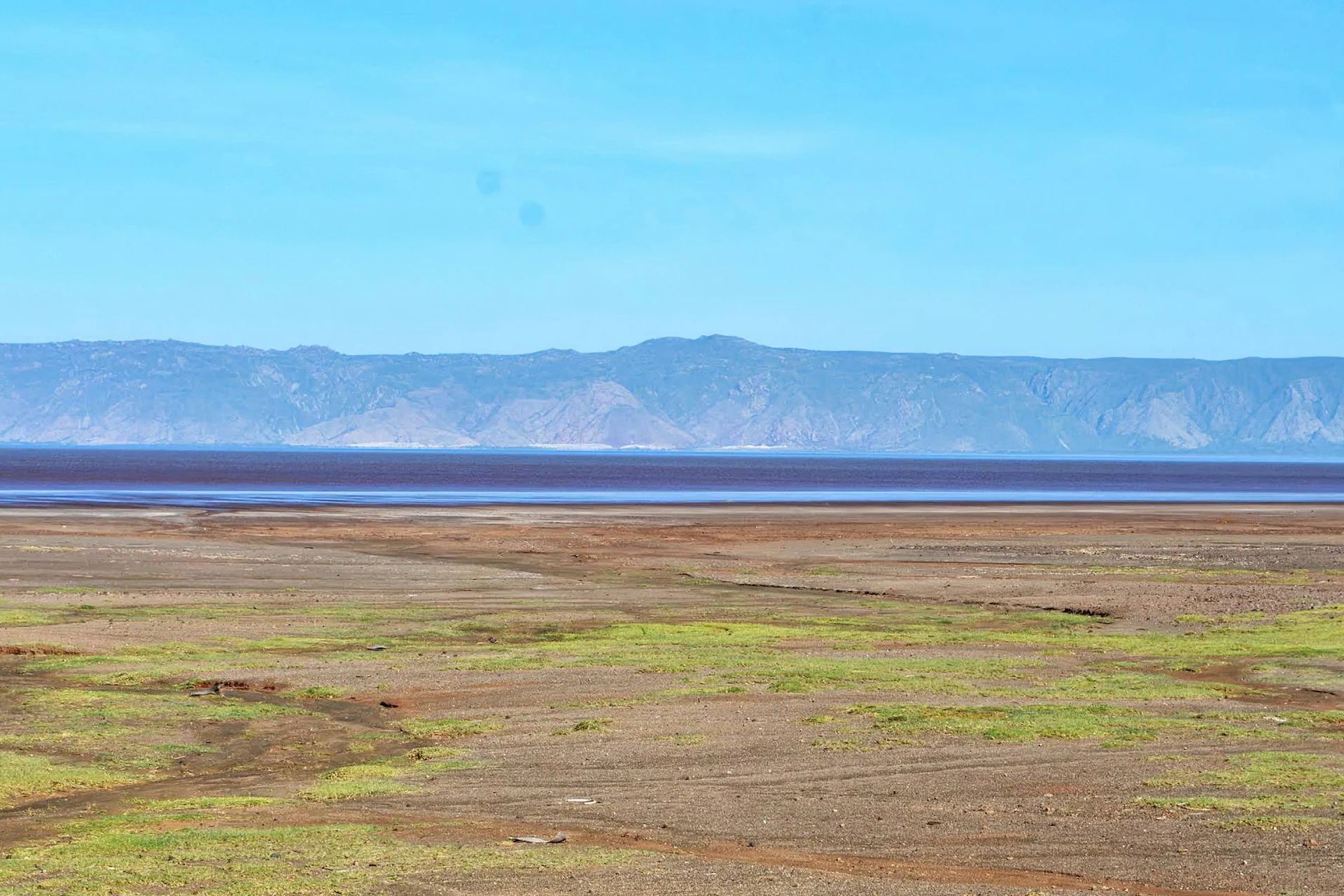 Ngorongoro