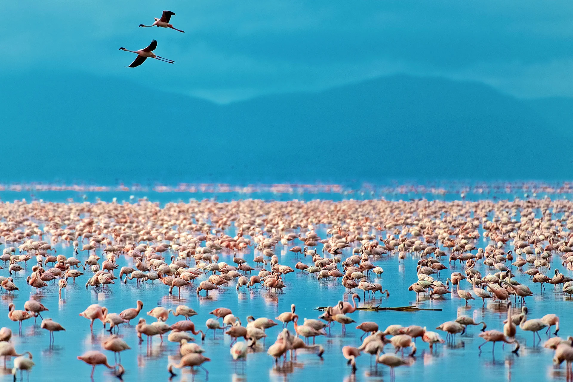 Lake Manyara