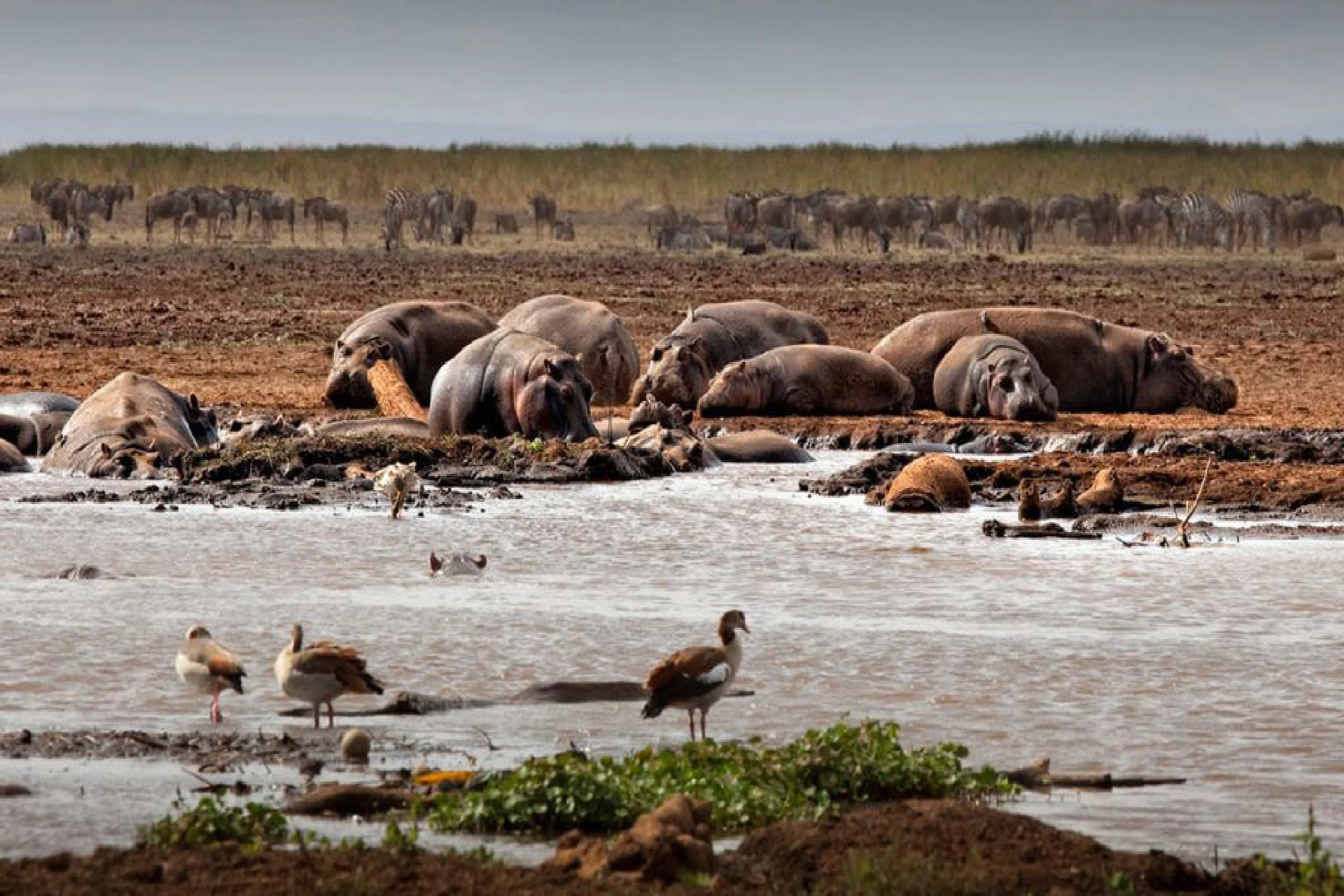 Lake Manyara
