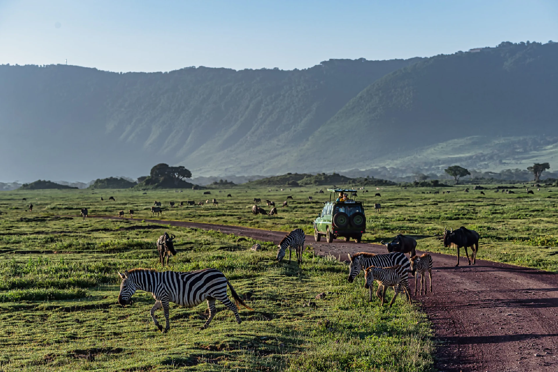 Central Serengeti - Ngorongoro Crater