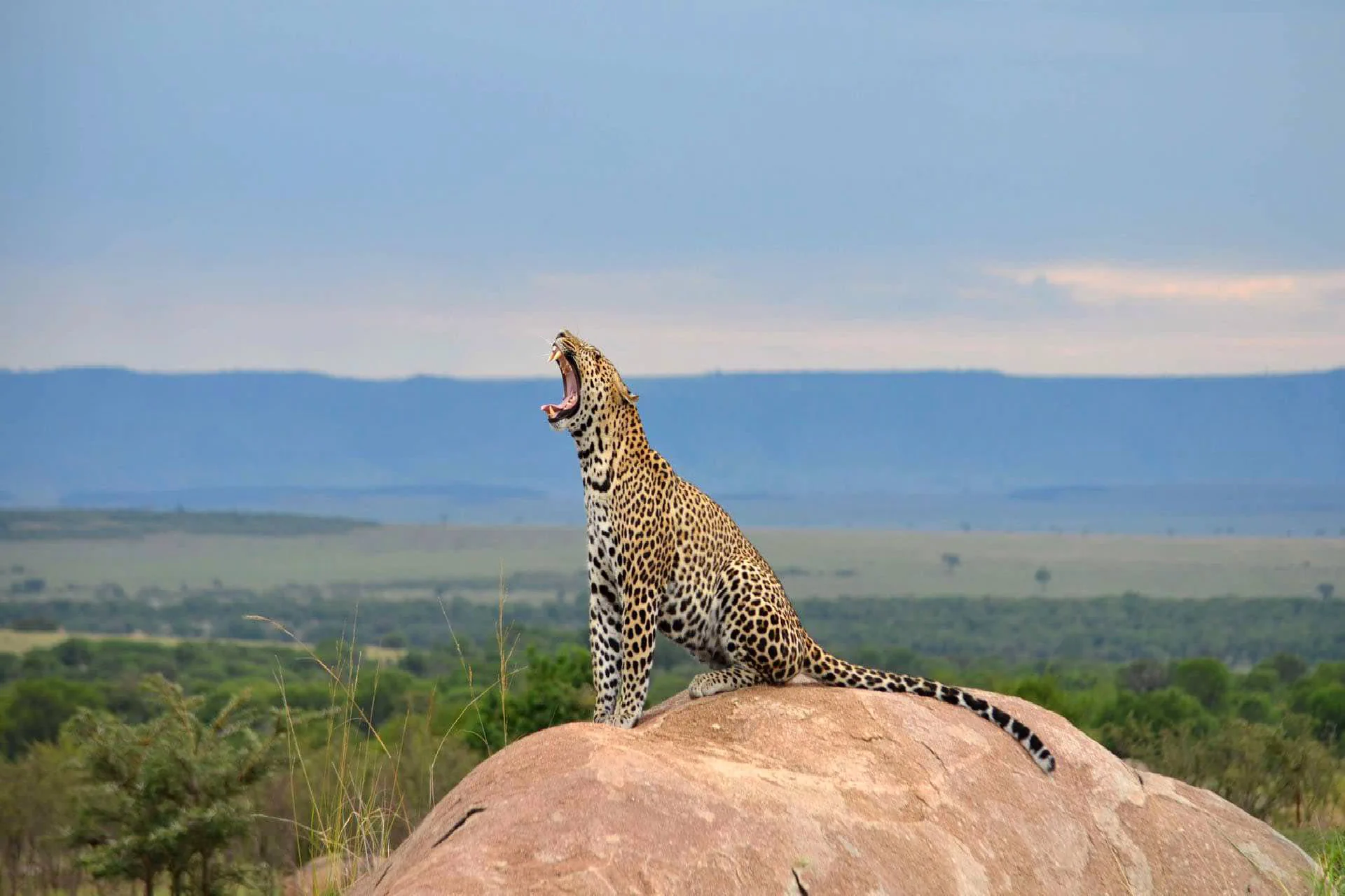 Ngorongoro Crater