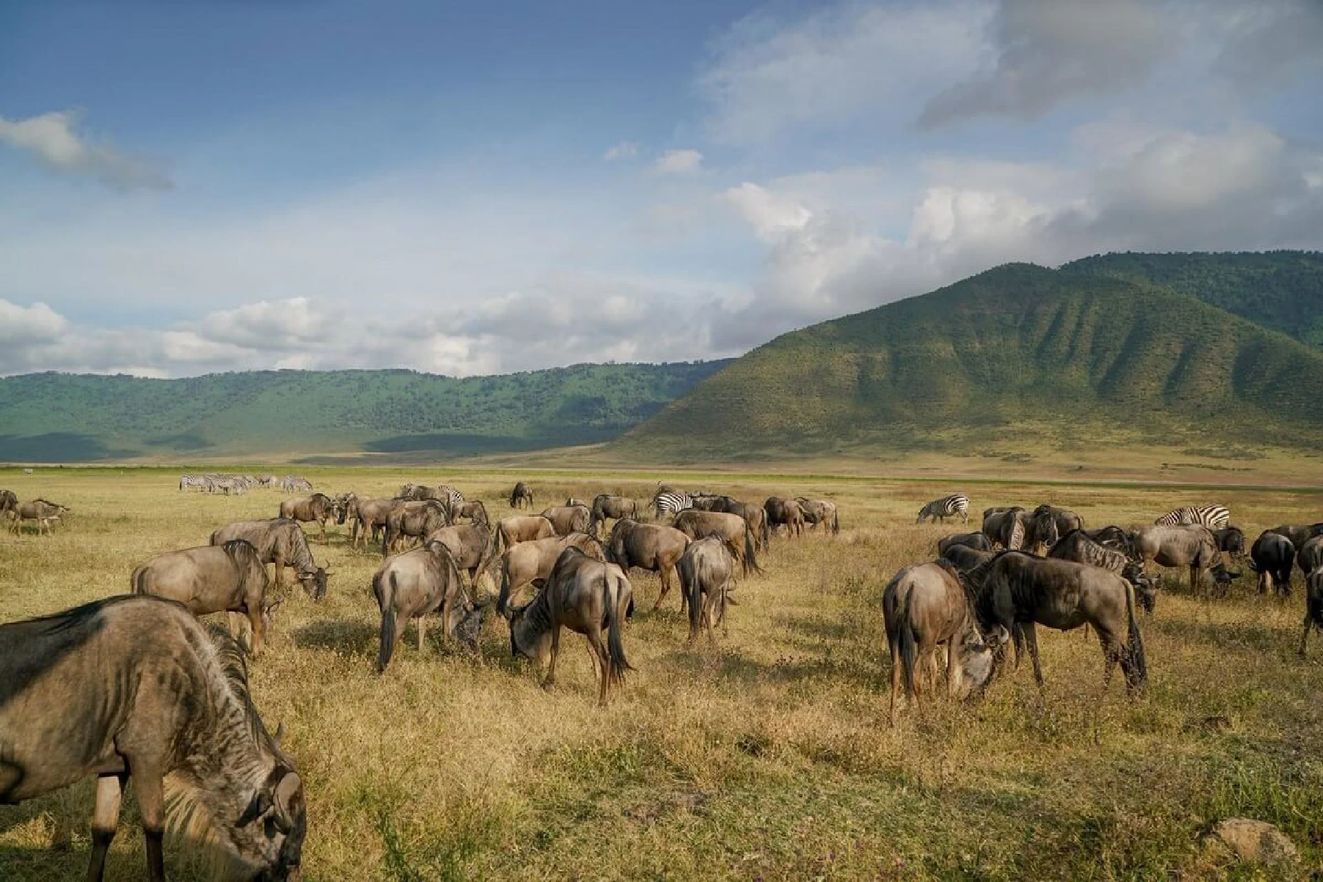 Ngorongoro Crater