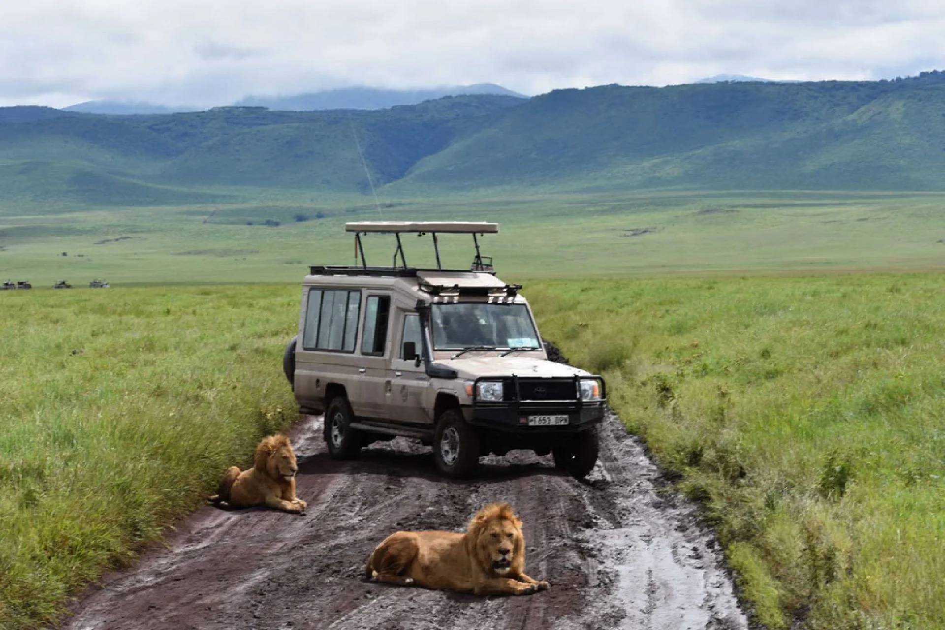 game drive