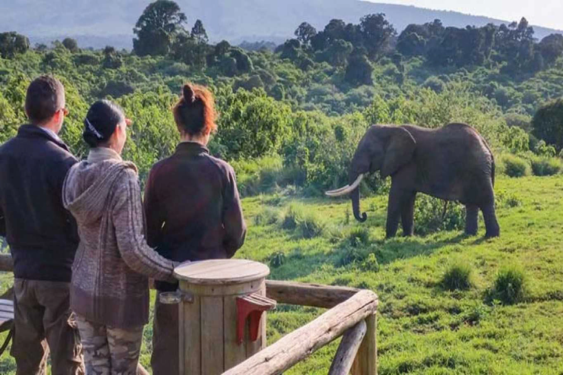 Serengeti - Ngorongoro Crater