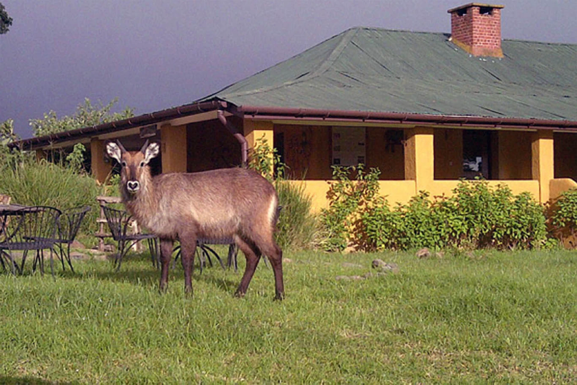 Ngorongoro Rhino Lodge.