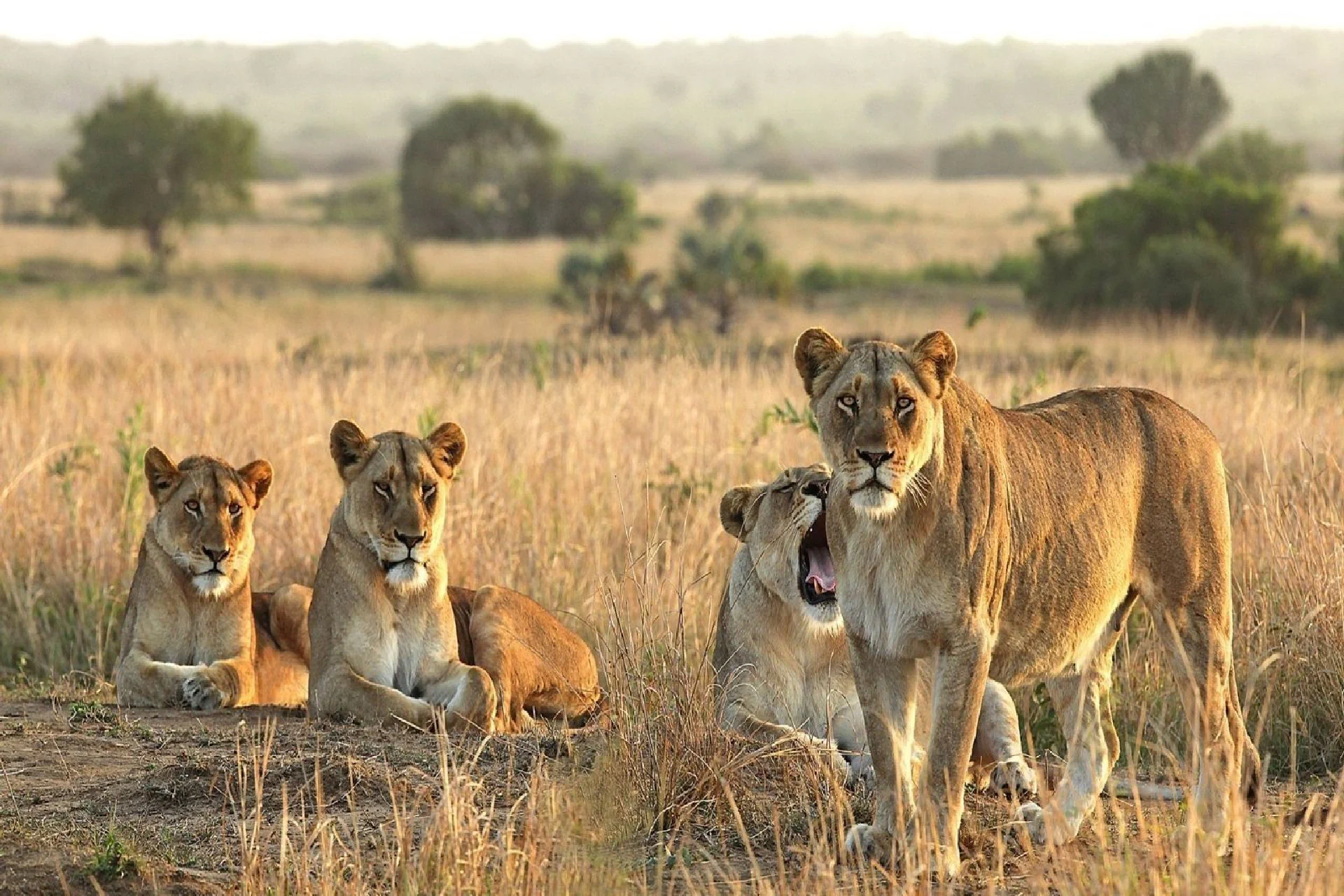 Serengeti National Park