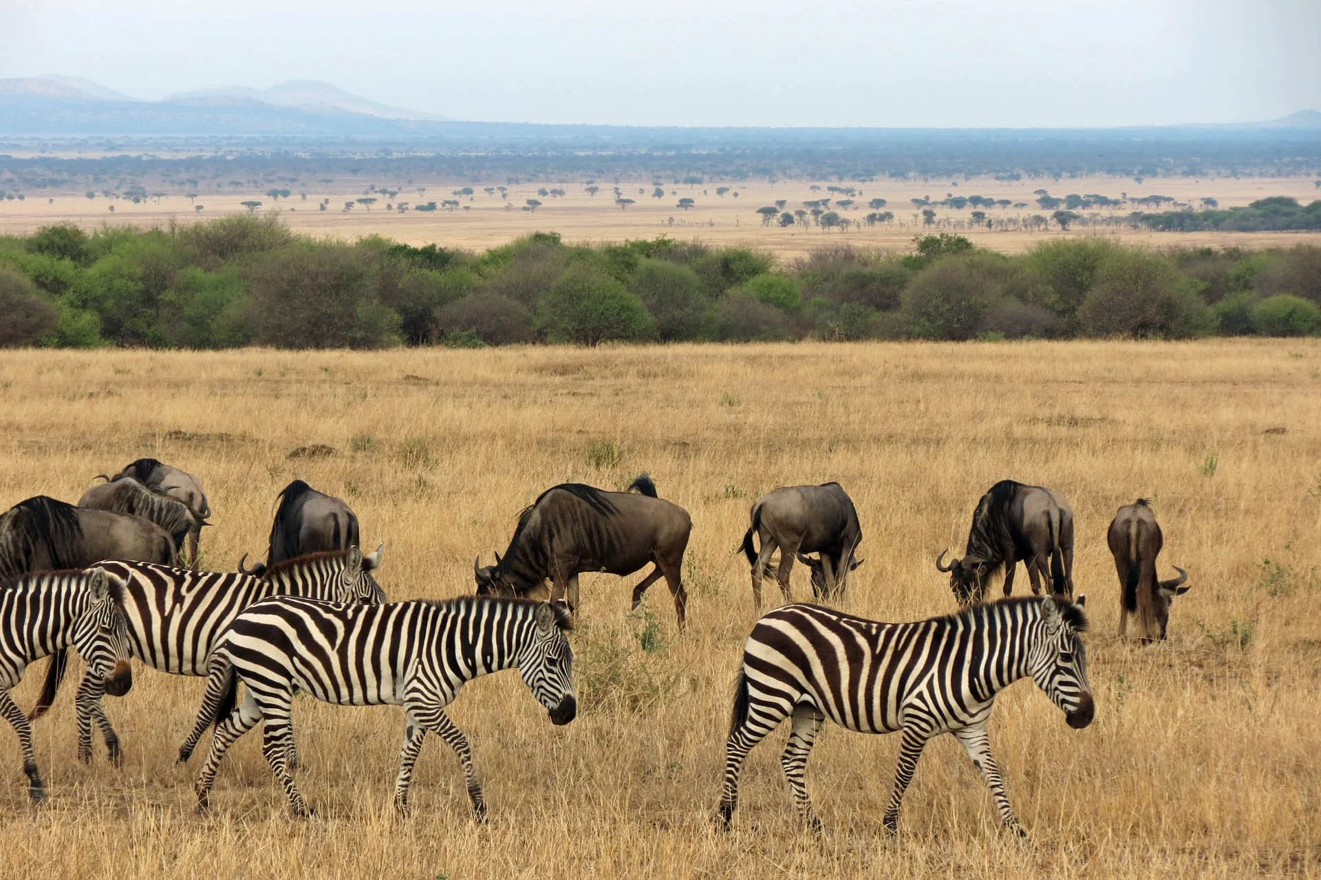 Serengeti National Park