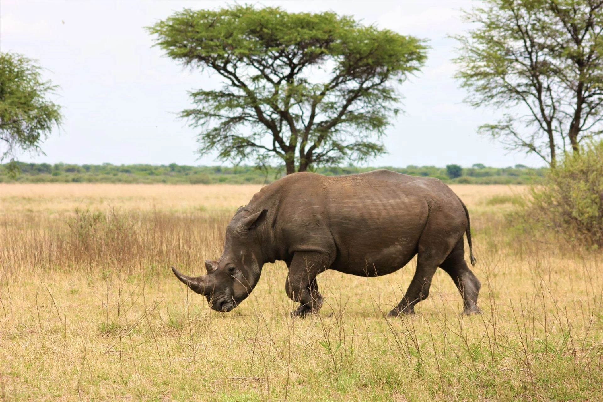 Serengeti National Park