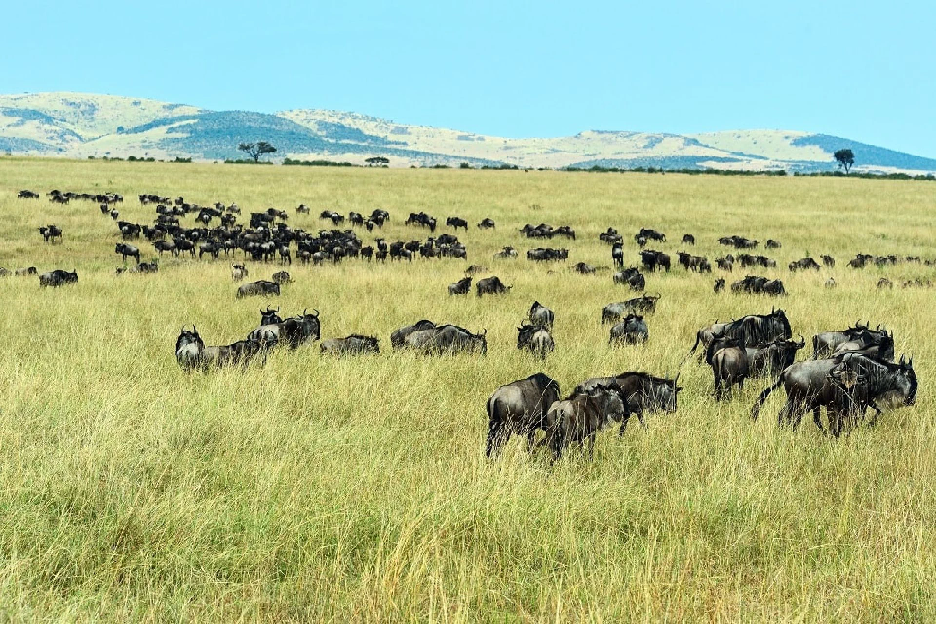 Serengeti National Park