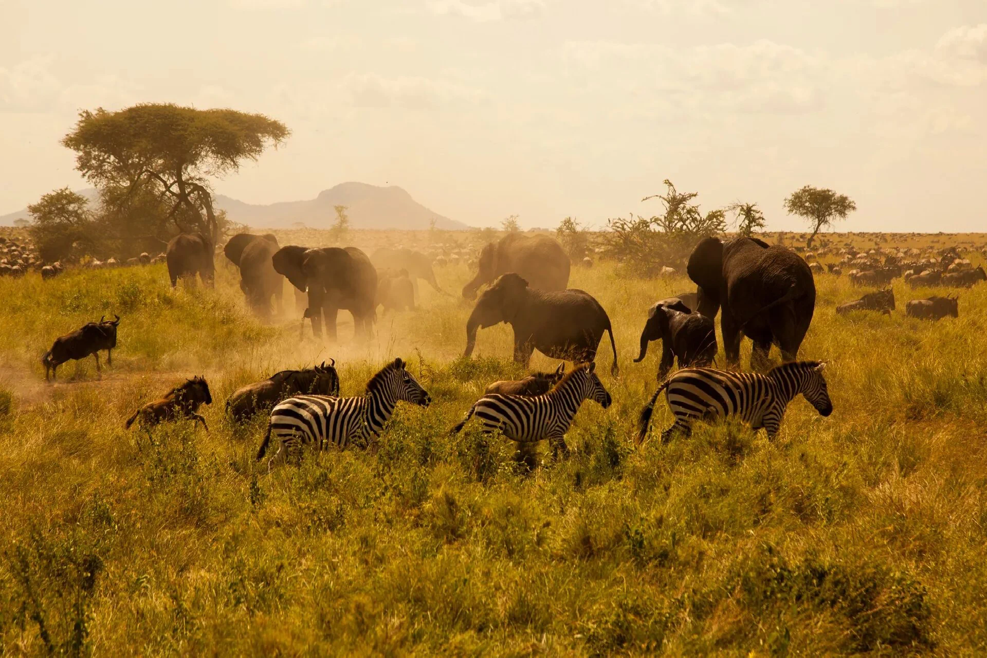 Serengeti National Park