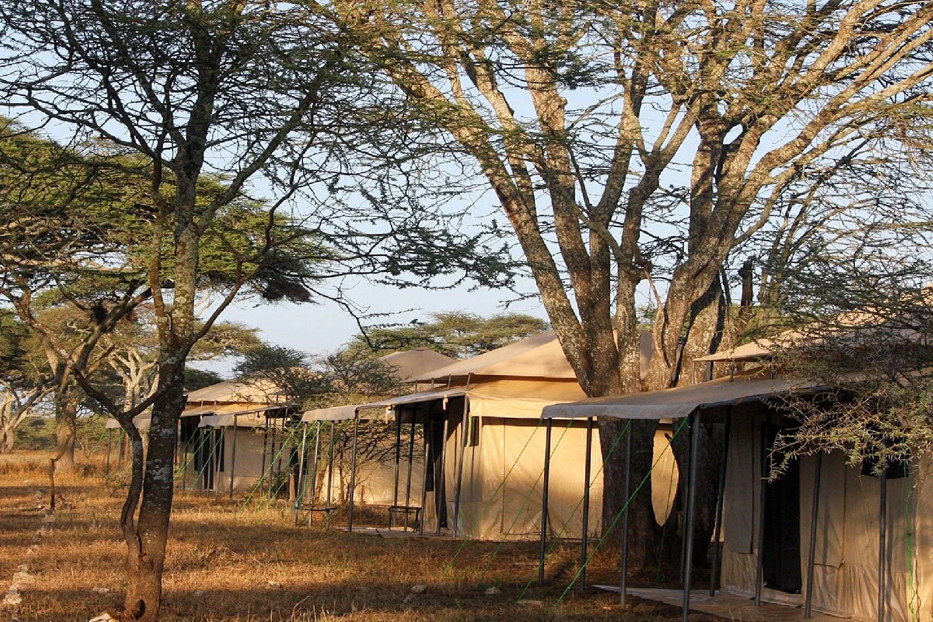Sero Mara Tented Camp.