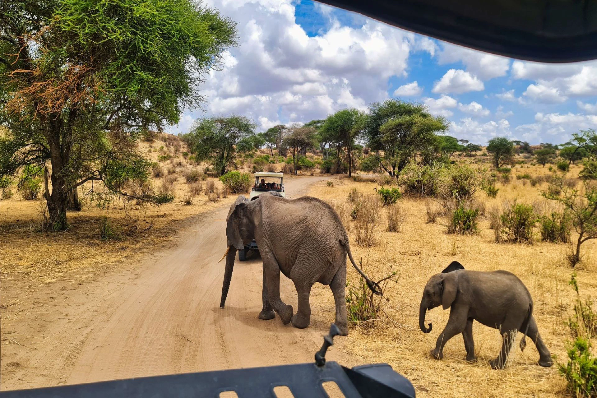game drive