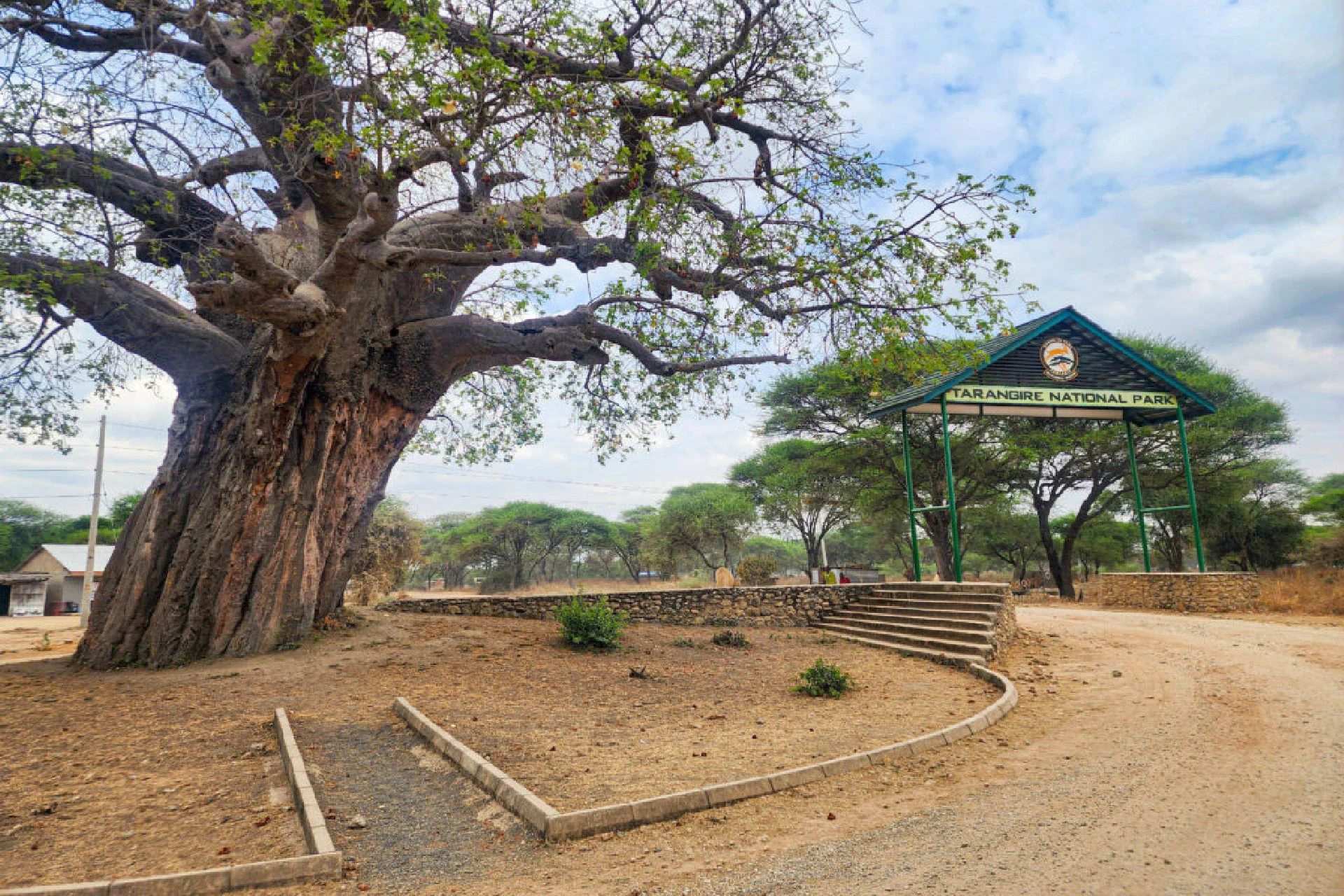 Arusha – Tarangire