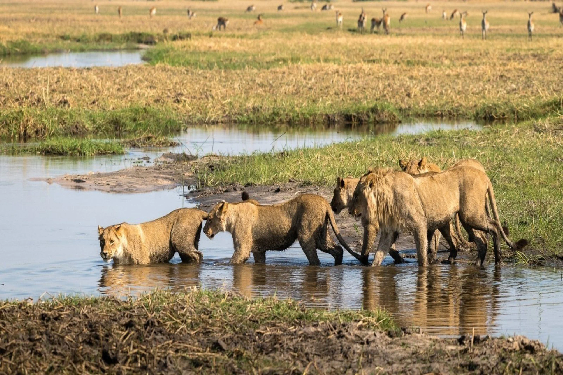 tarangire
