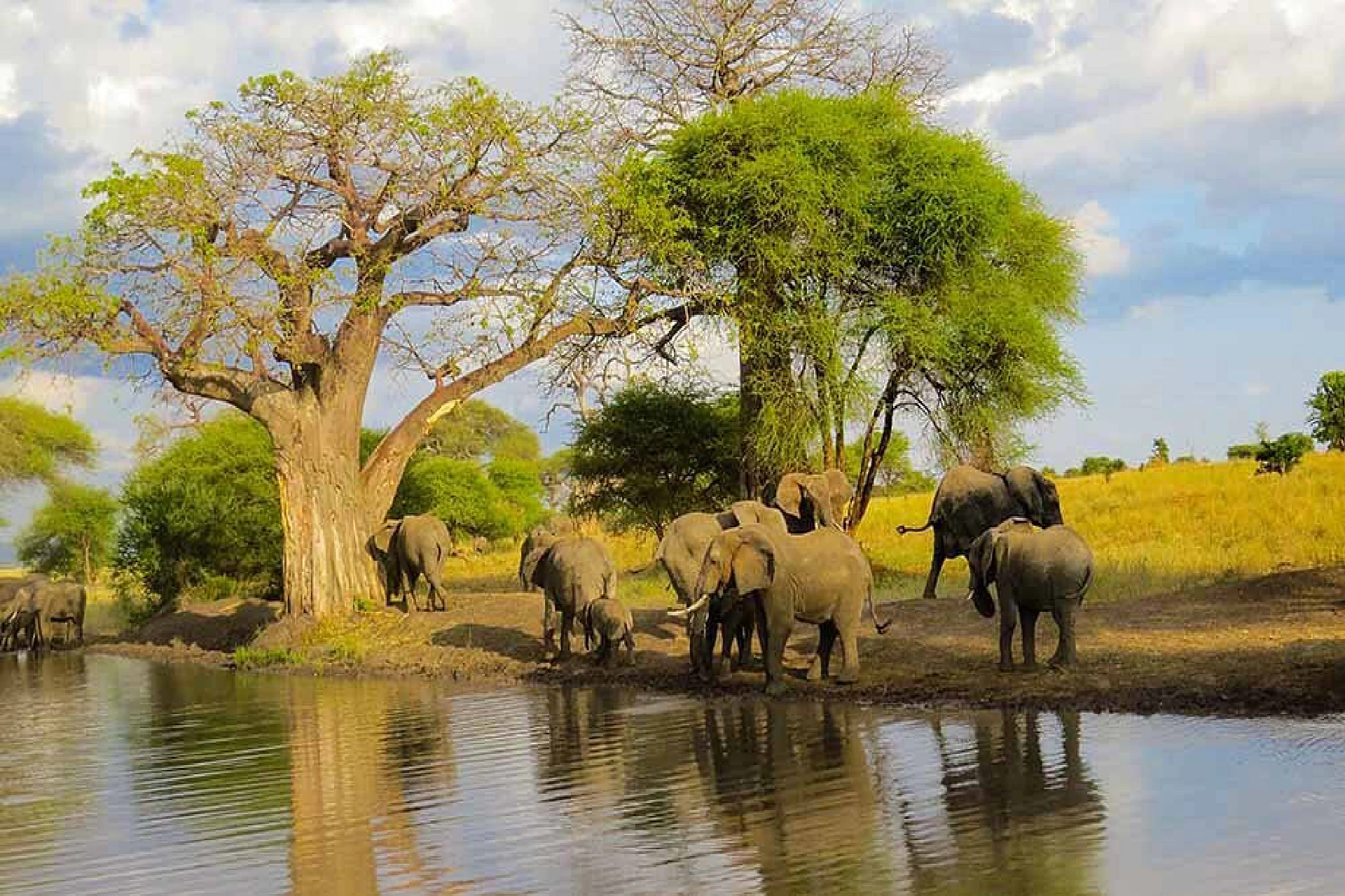 Tarangire National Park