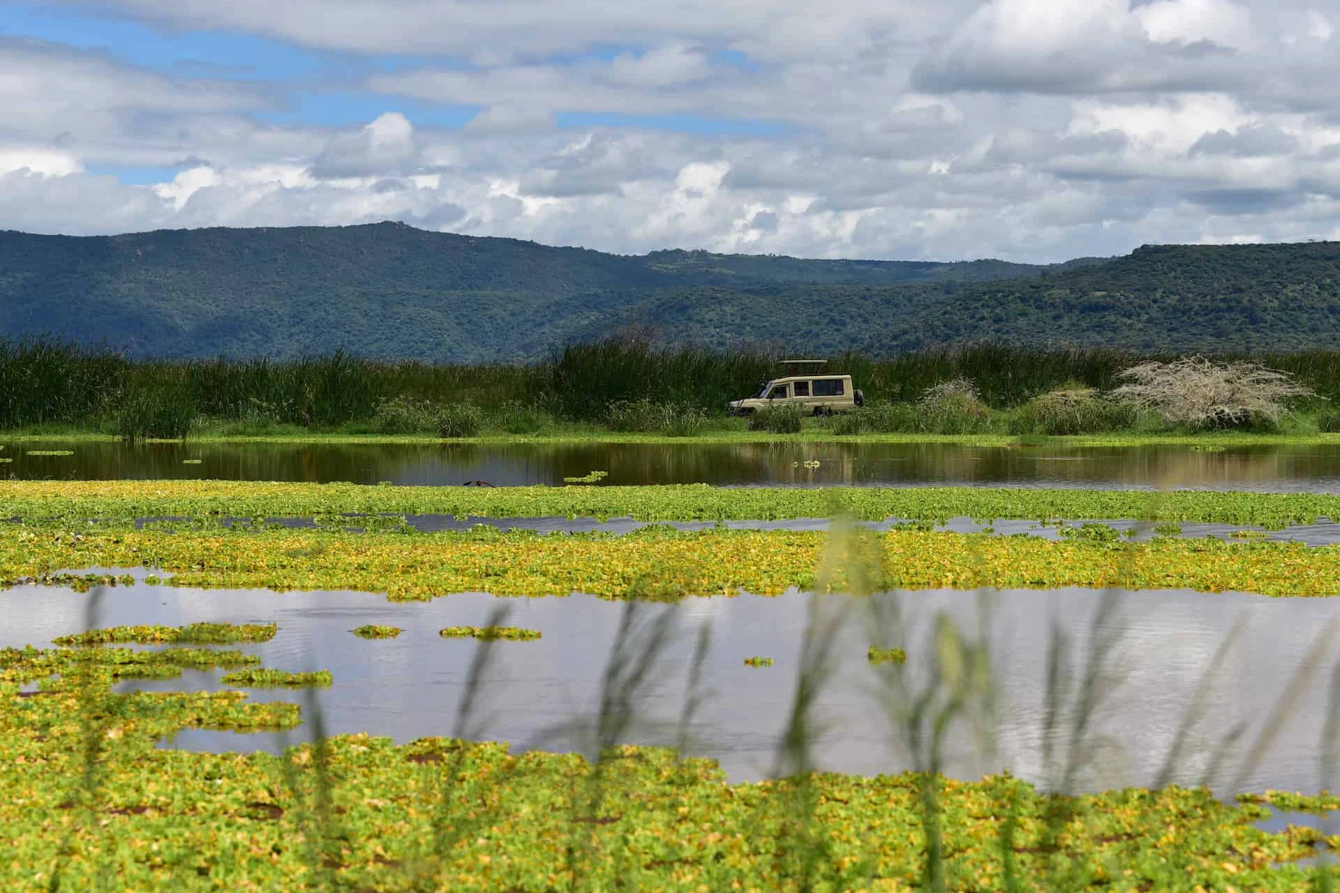 Manyara National Park
