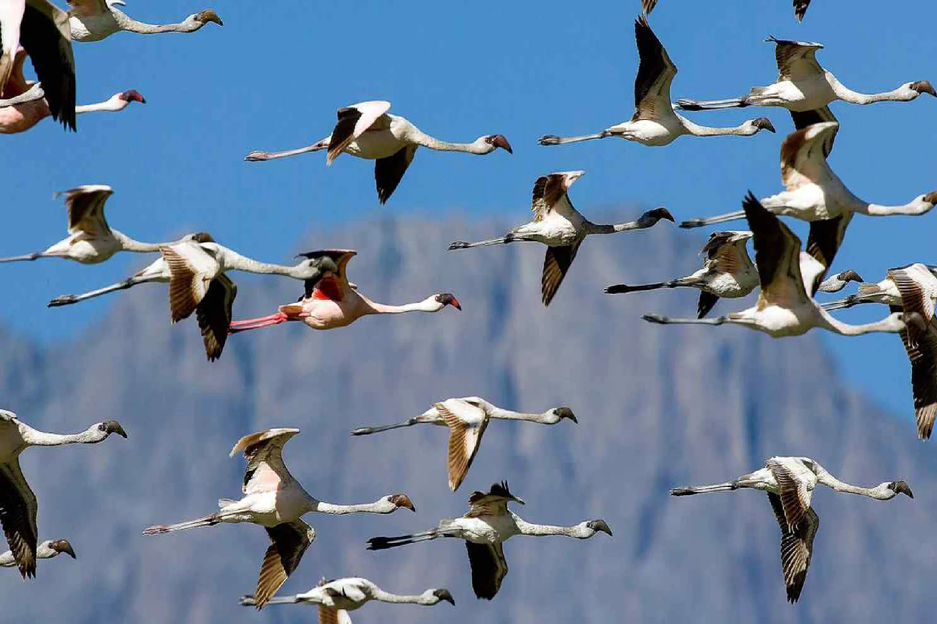 Arusha National Park