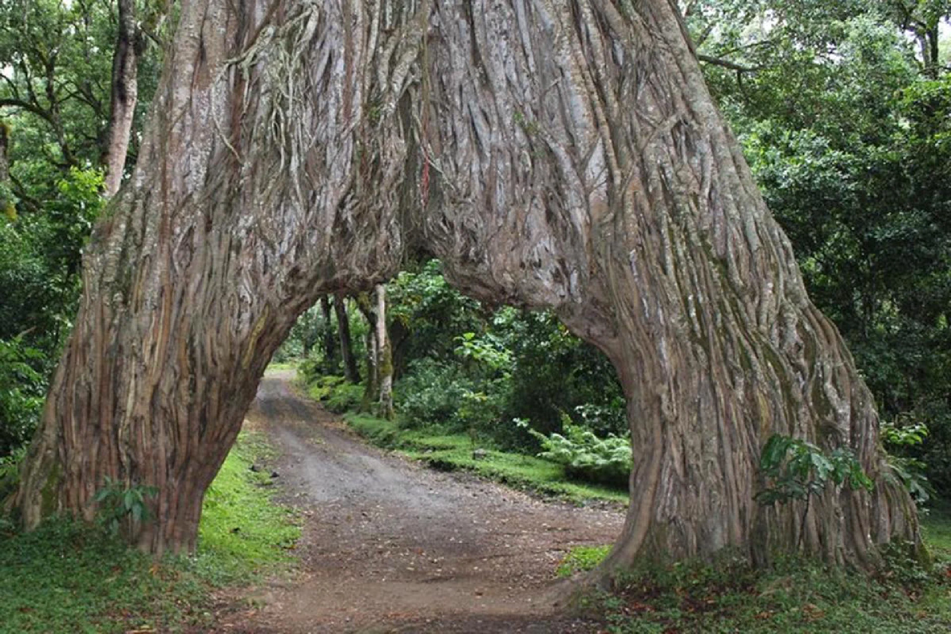 Lake Manyara National Park