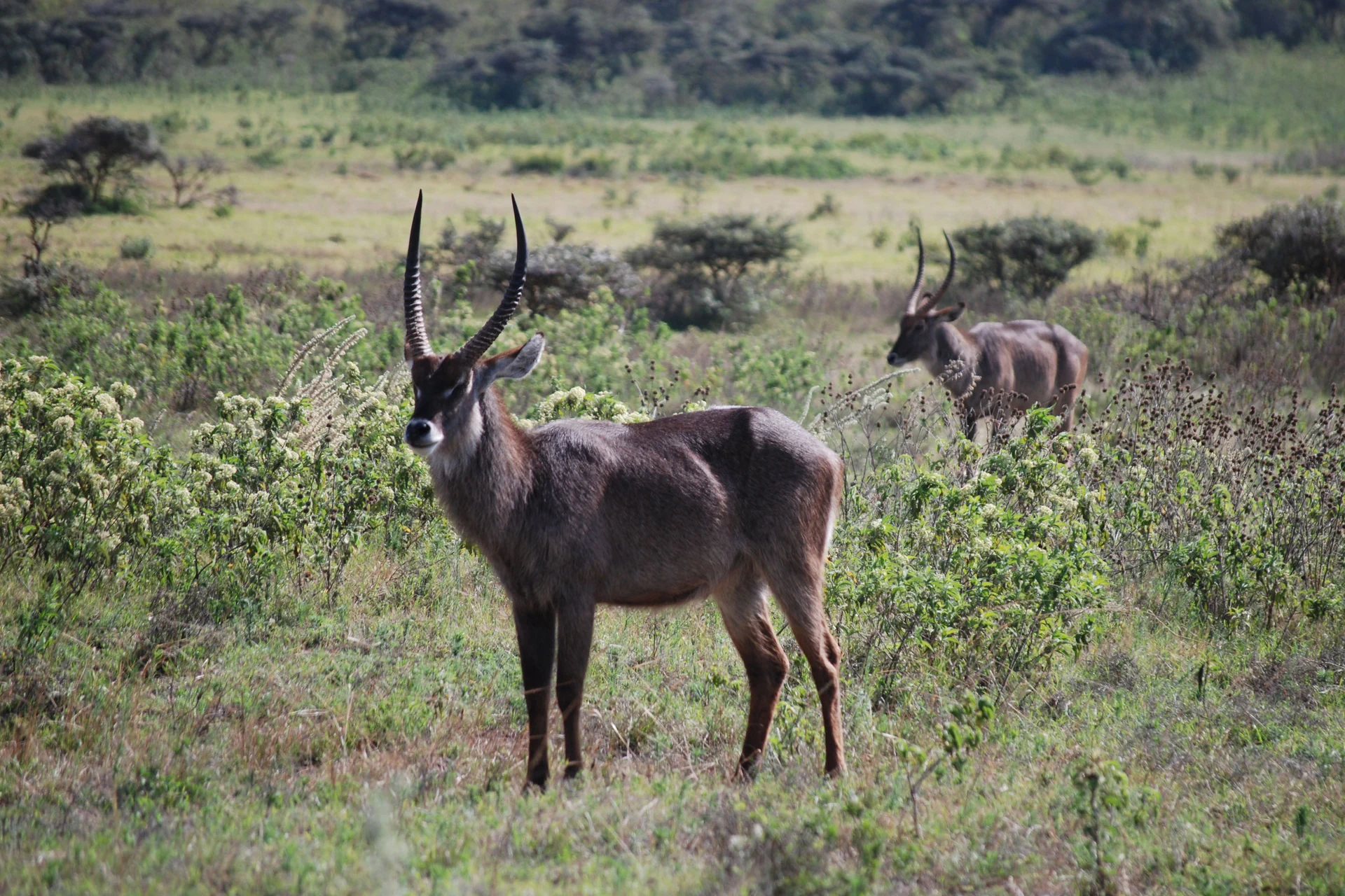 Arusha National Park
