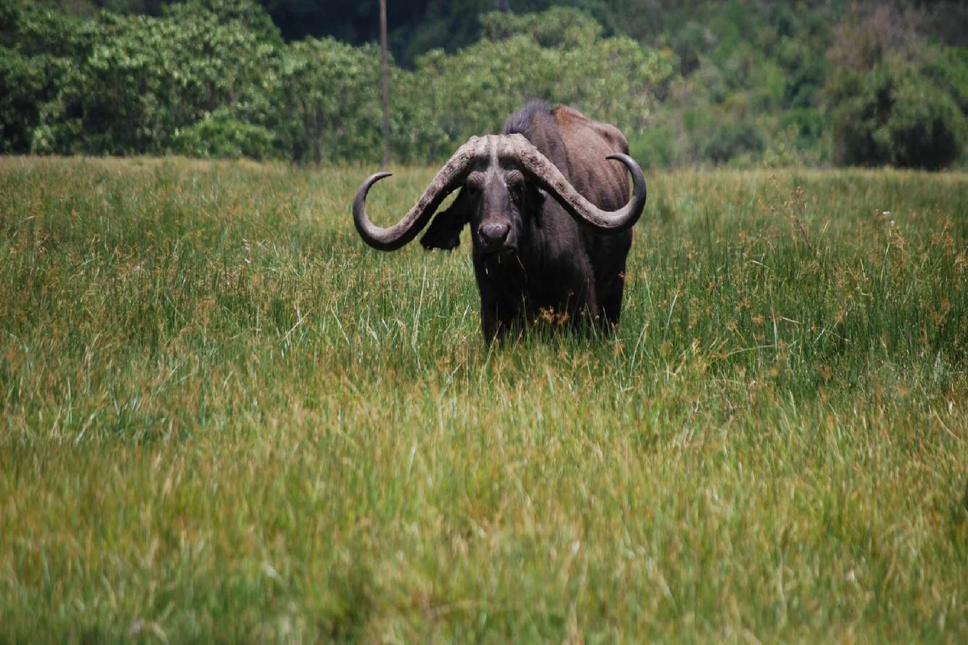 Arusha National Park