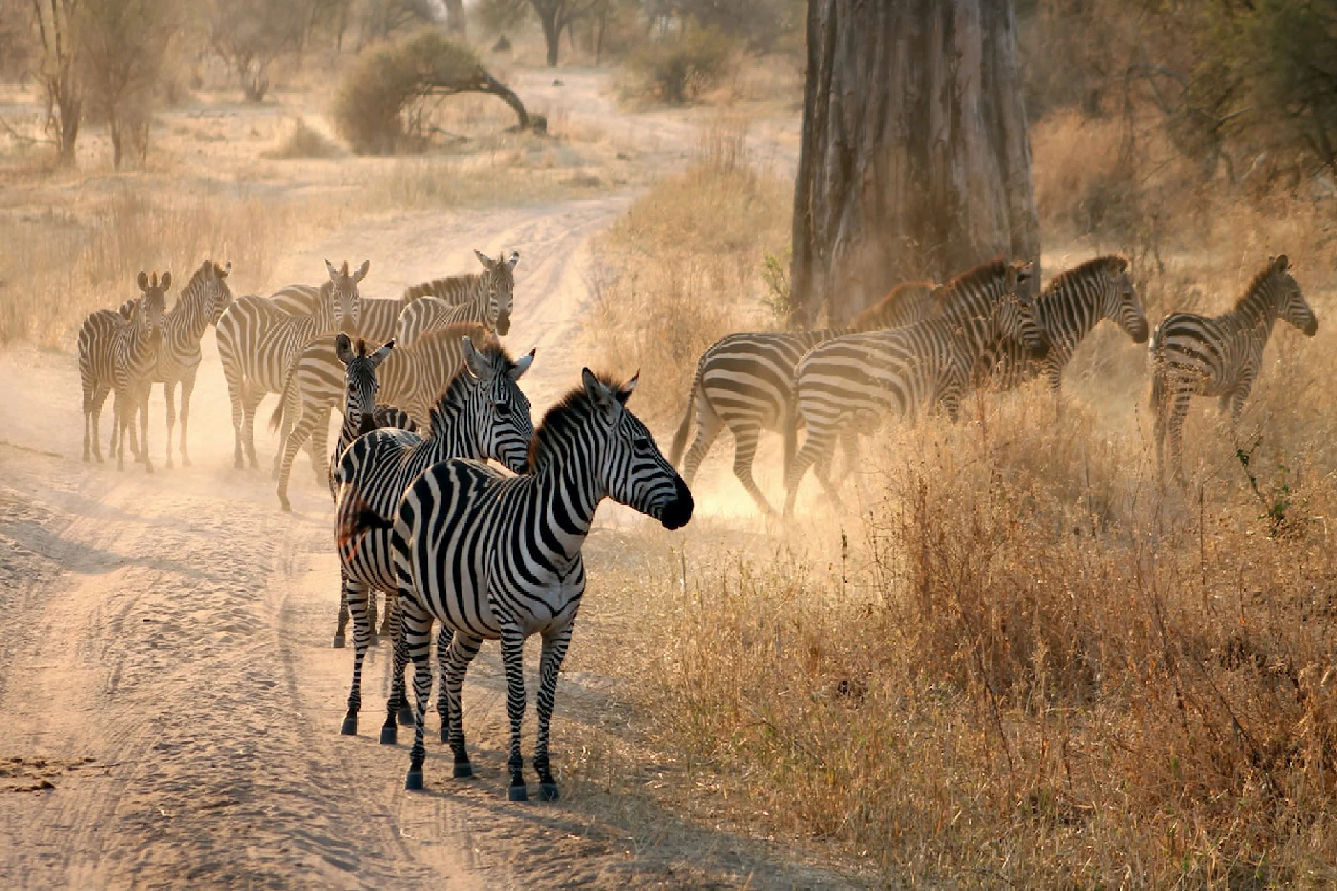 Arusha National Park