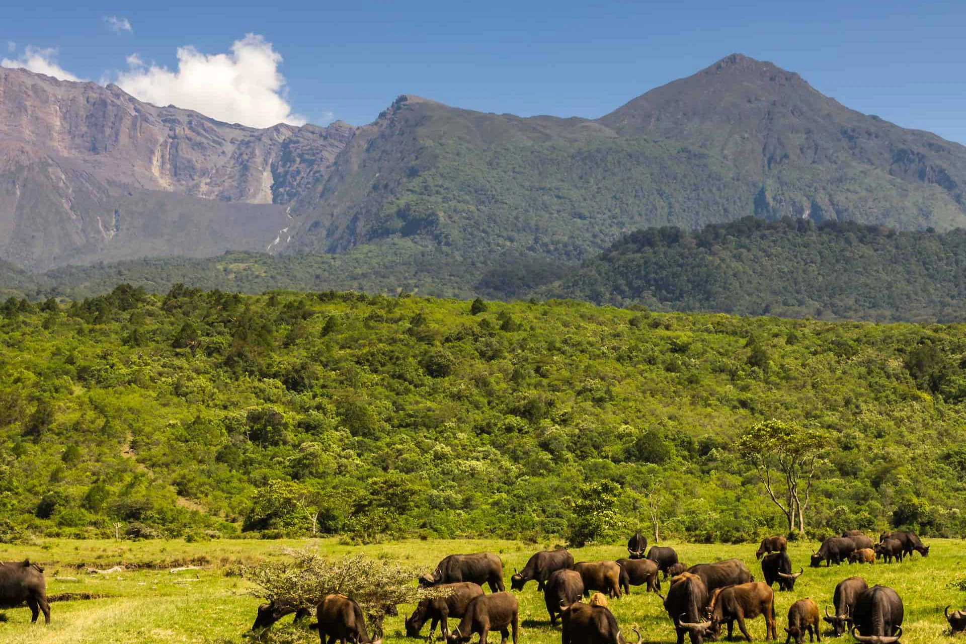 Arusha