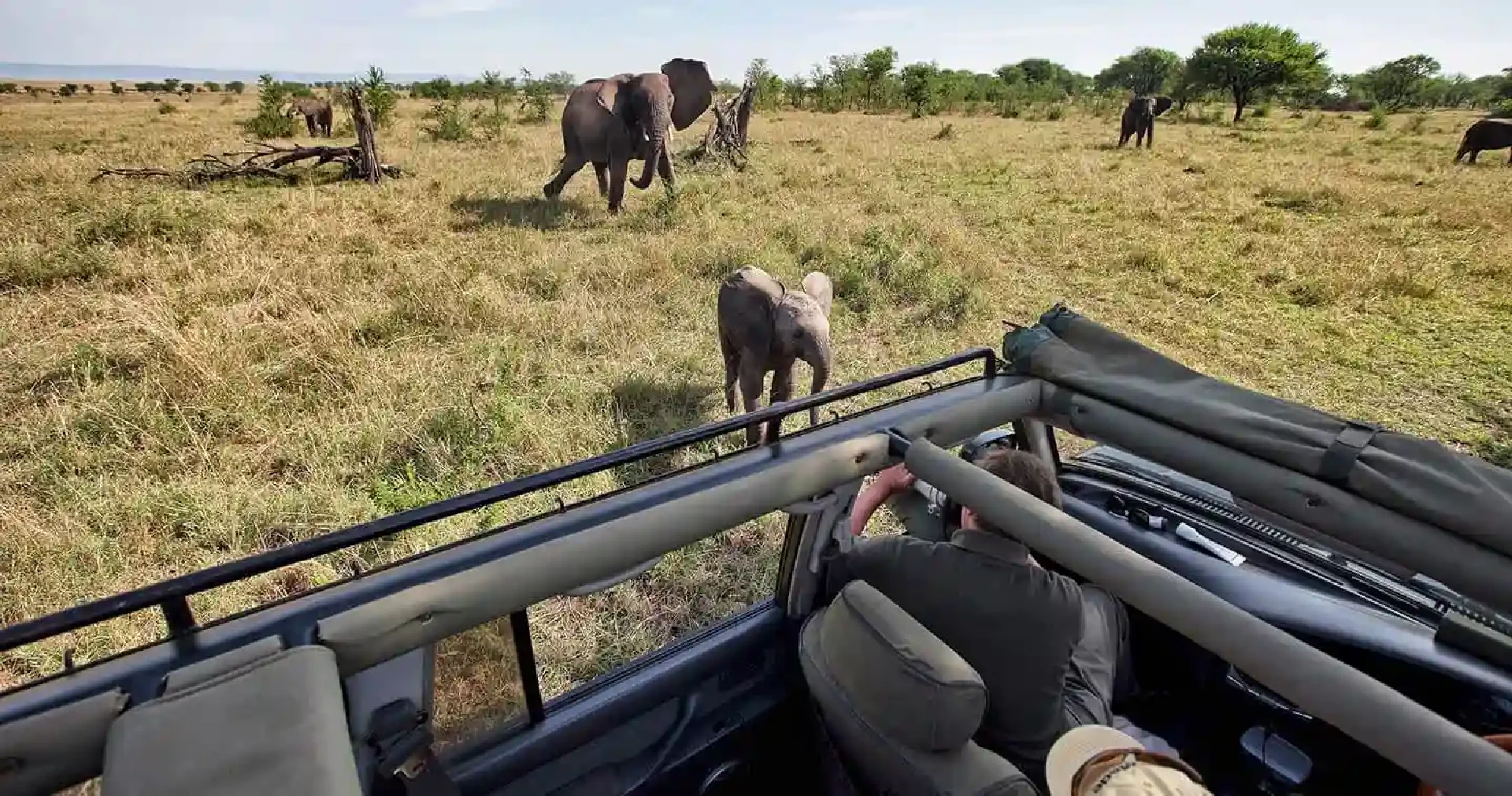 game drive