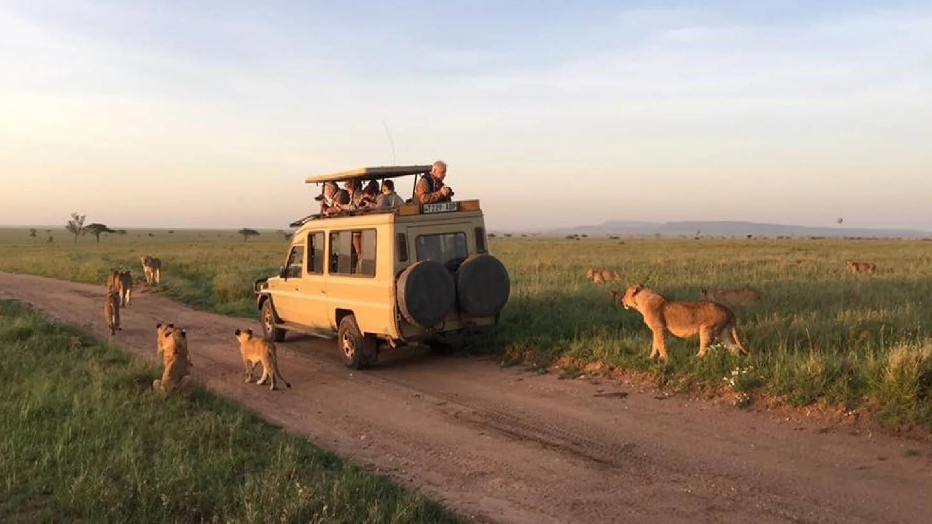 game drive