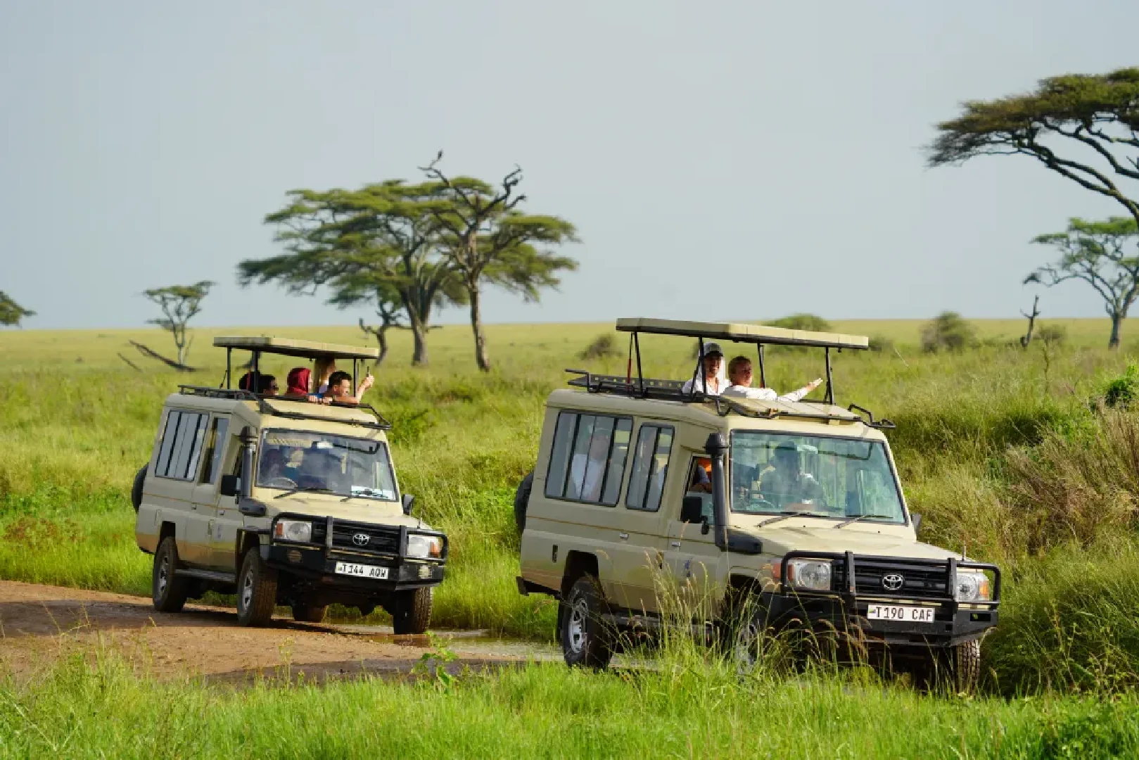 game drive