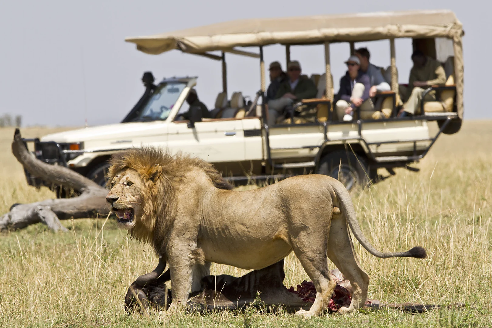Serengeti National Park