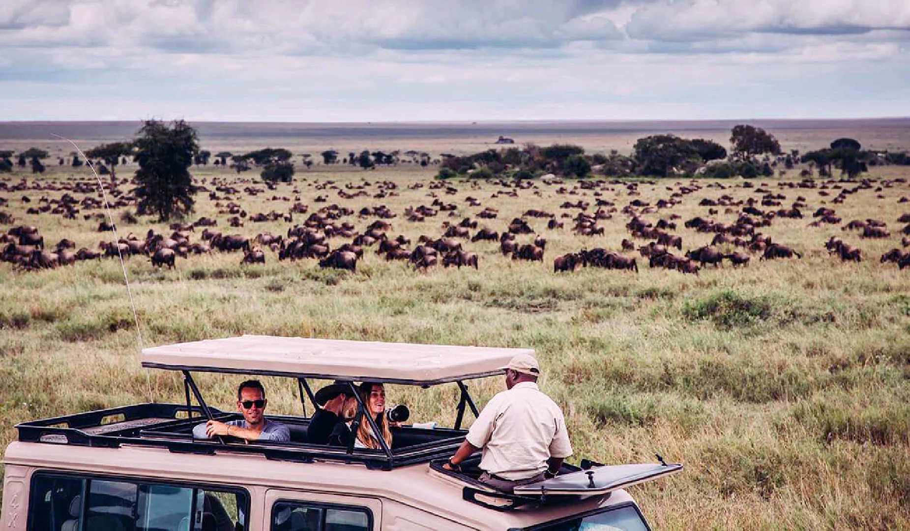 game drive