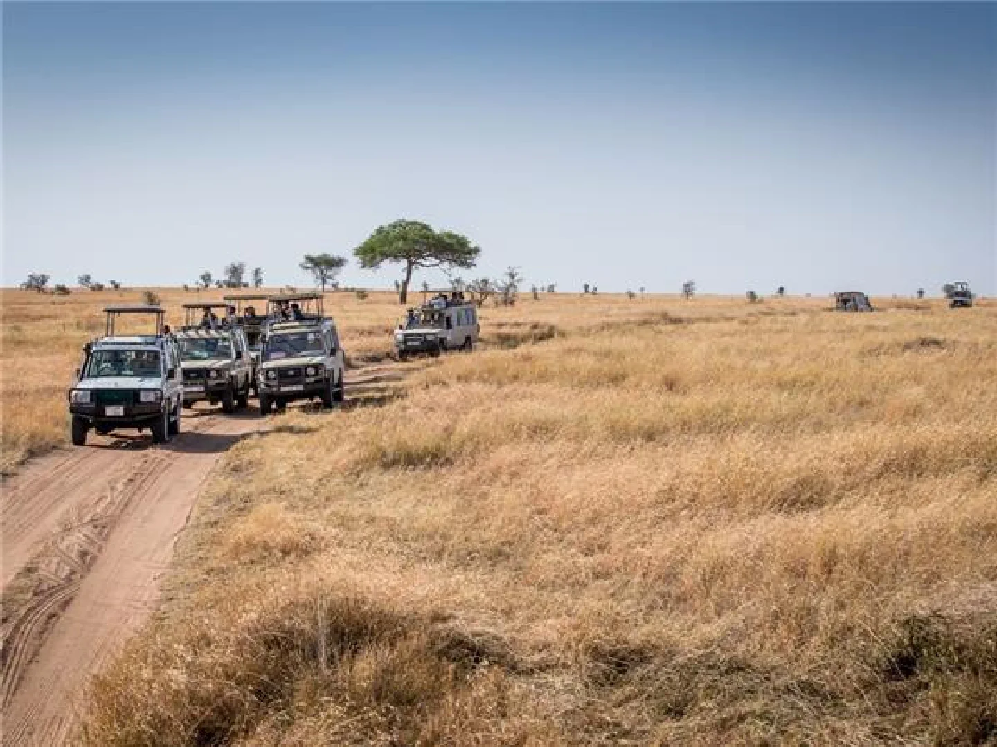 game drive