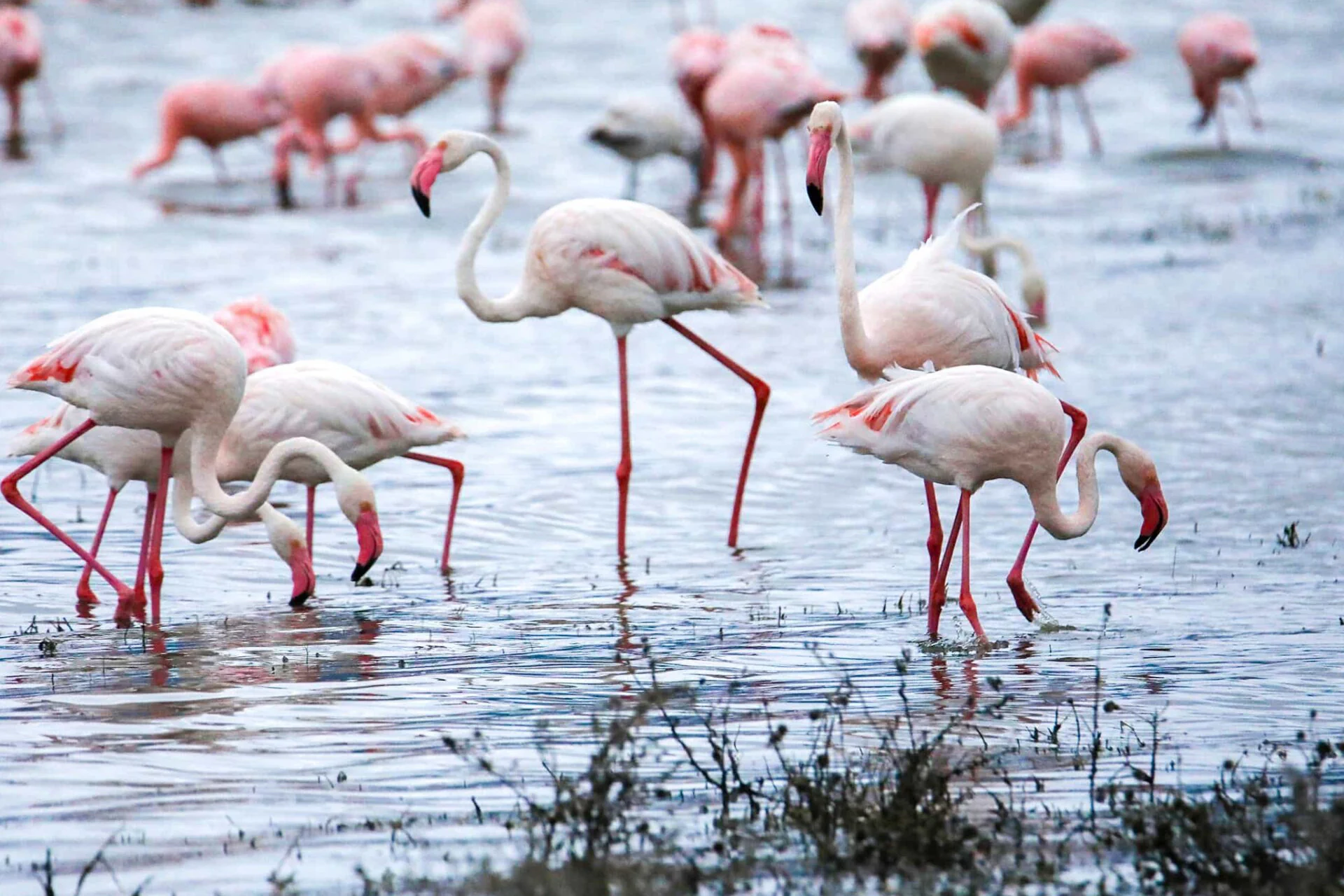 Serengeti National Park