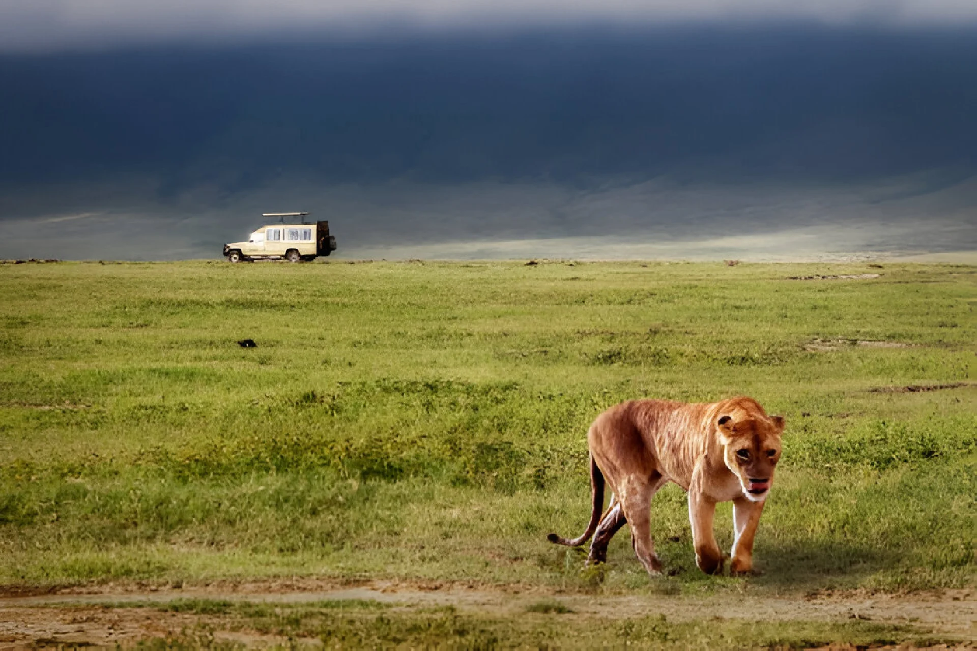 Ngorongoro Crater