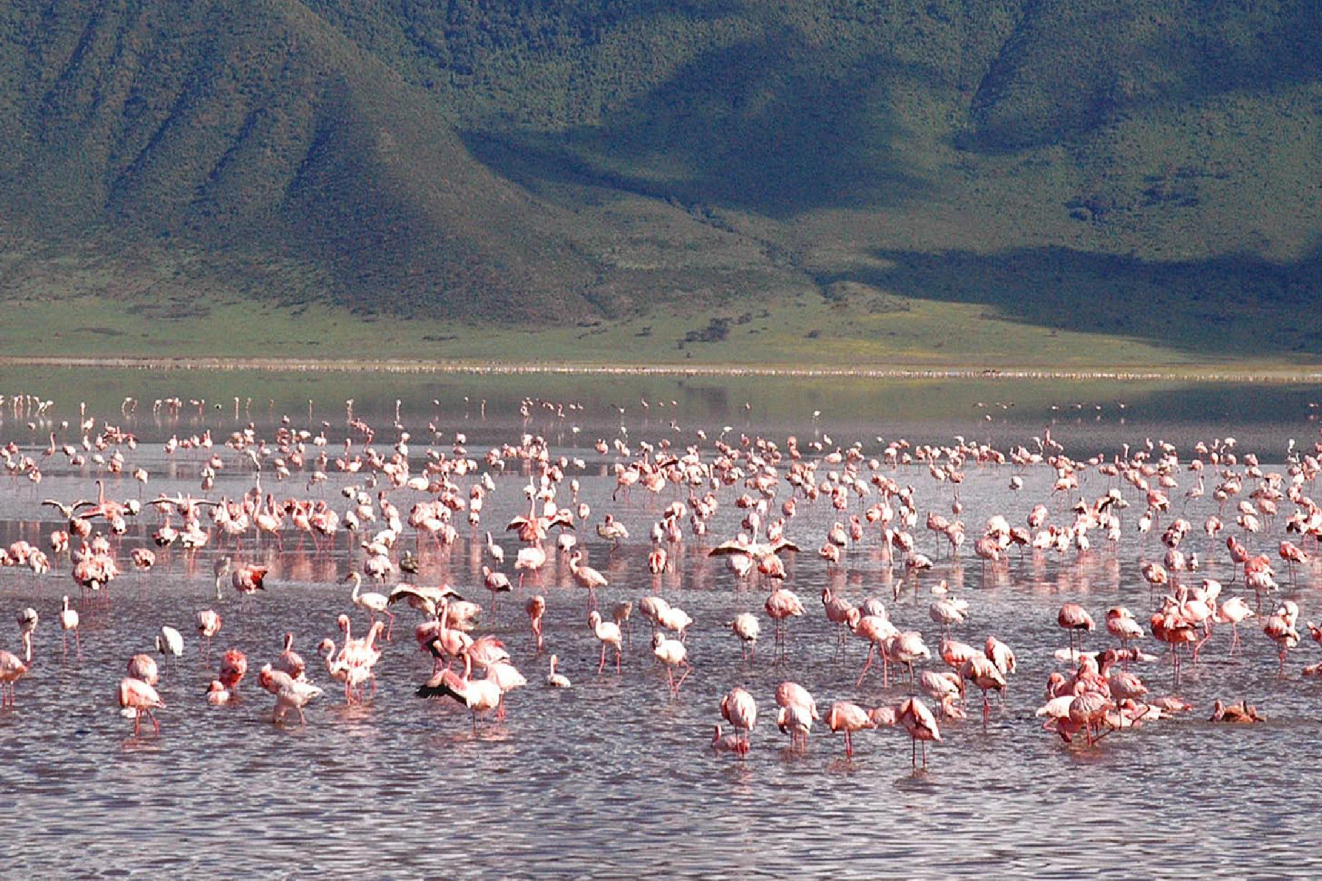 Ngorongoro Crater