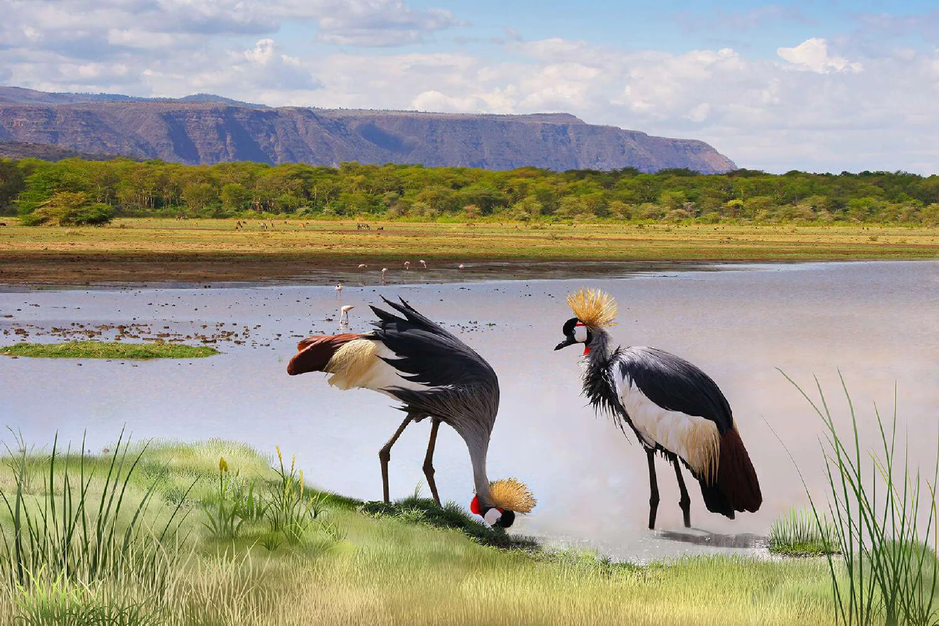 Serengeti & Ngorongoro Conservation